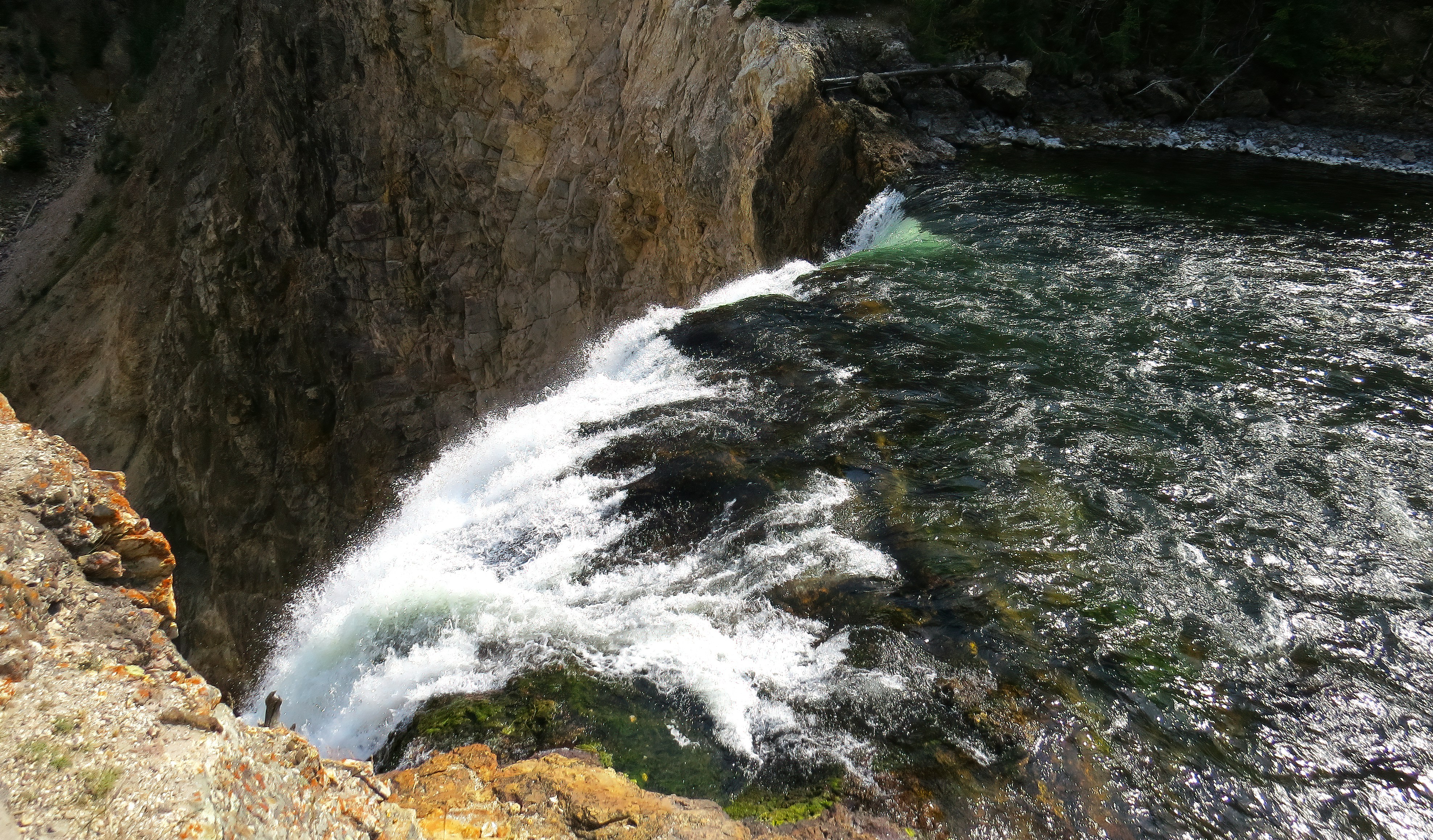 Photo by bullterriere