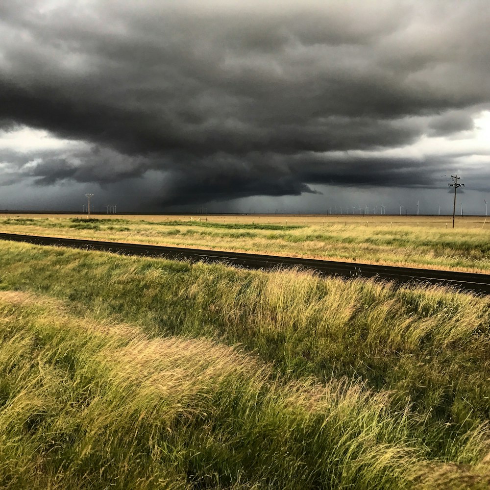 green grass field under gray clouds