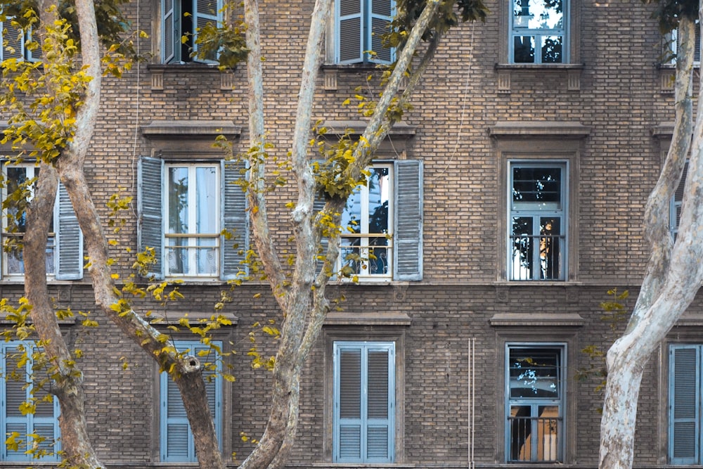 brown tree near brown brick building