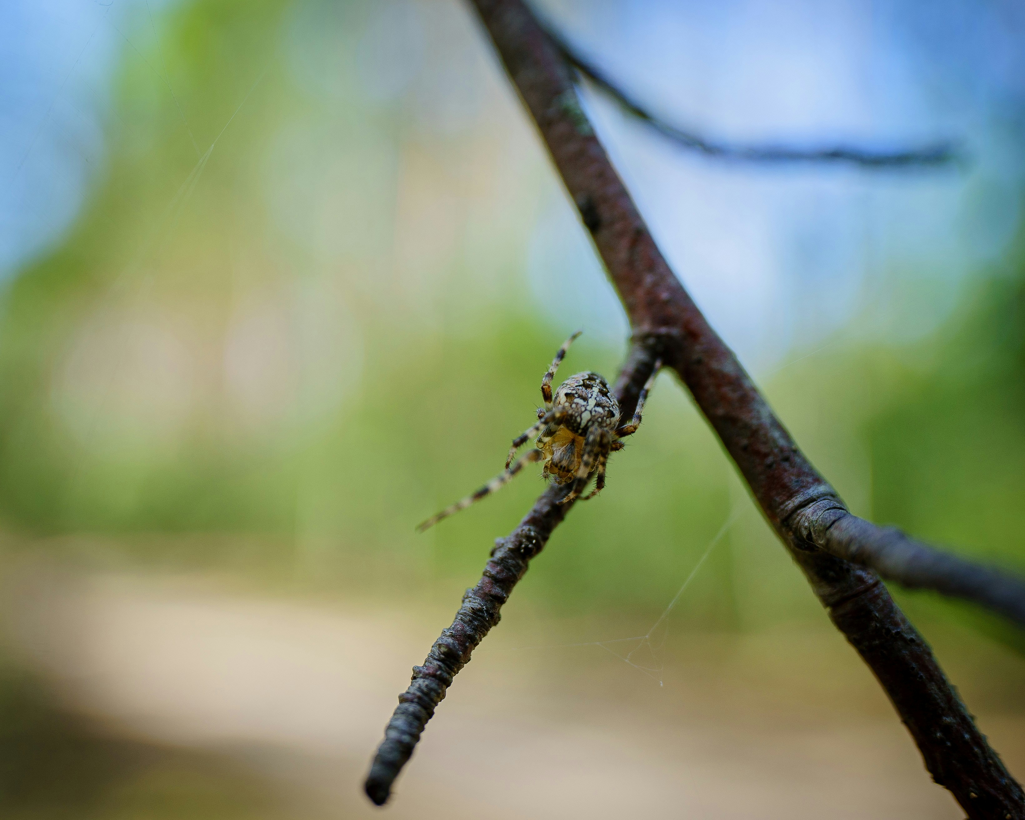 Photo by eugenechystiakov