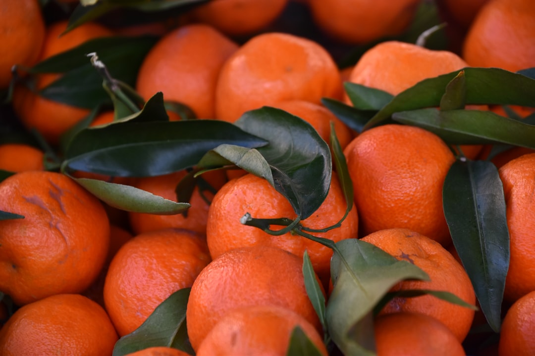 close up photo of orange fruits