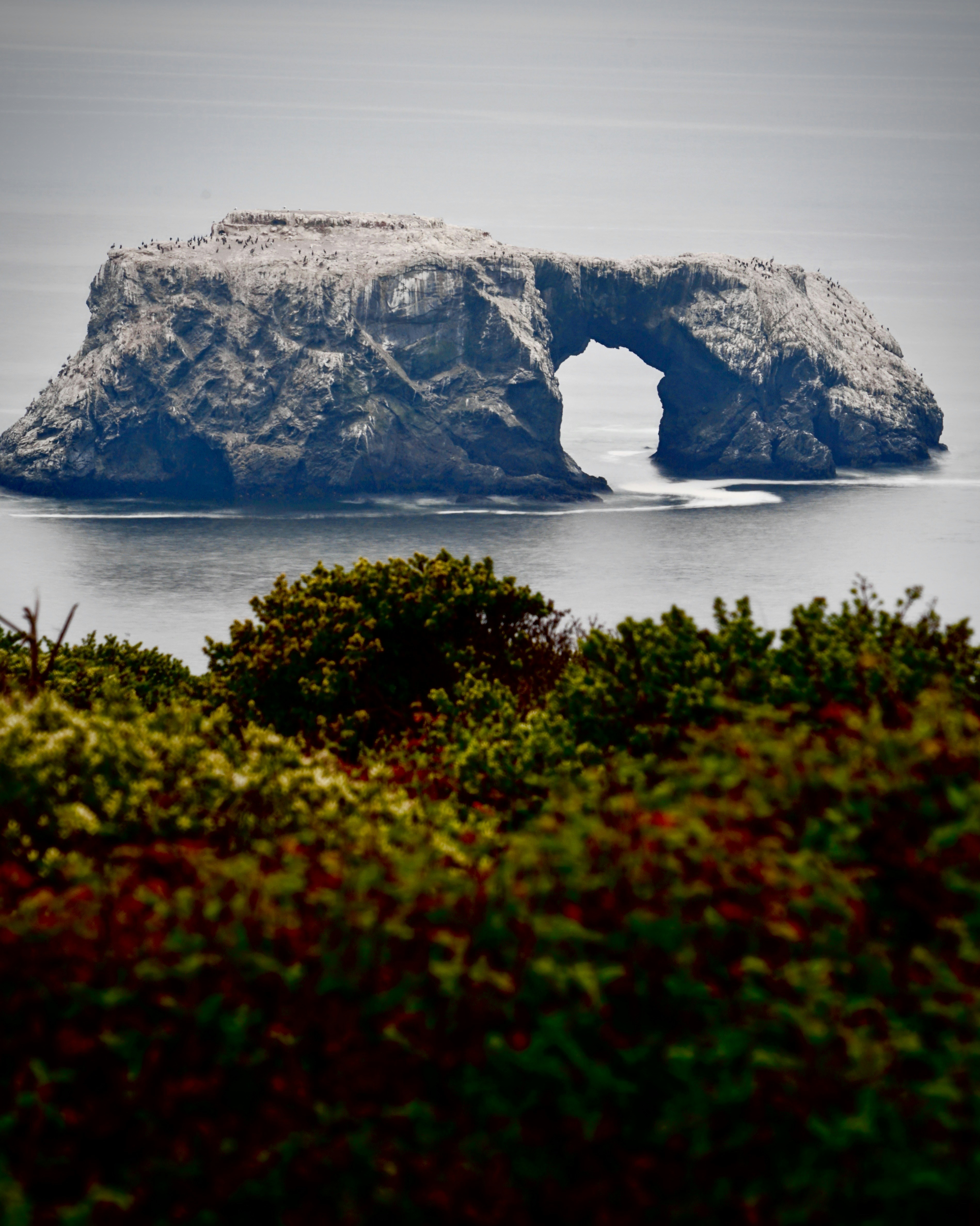 Kylie Cosmetics Vision