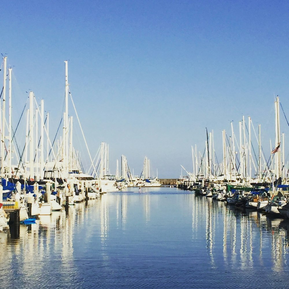 white sail boats on sea during daytime