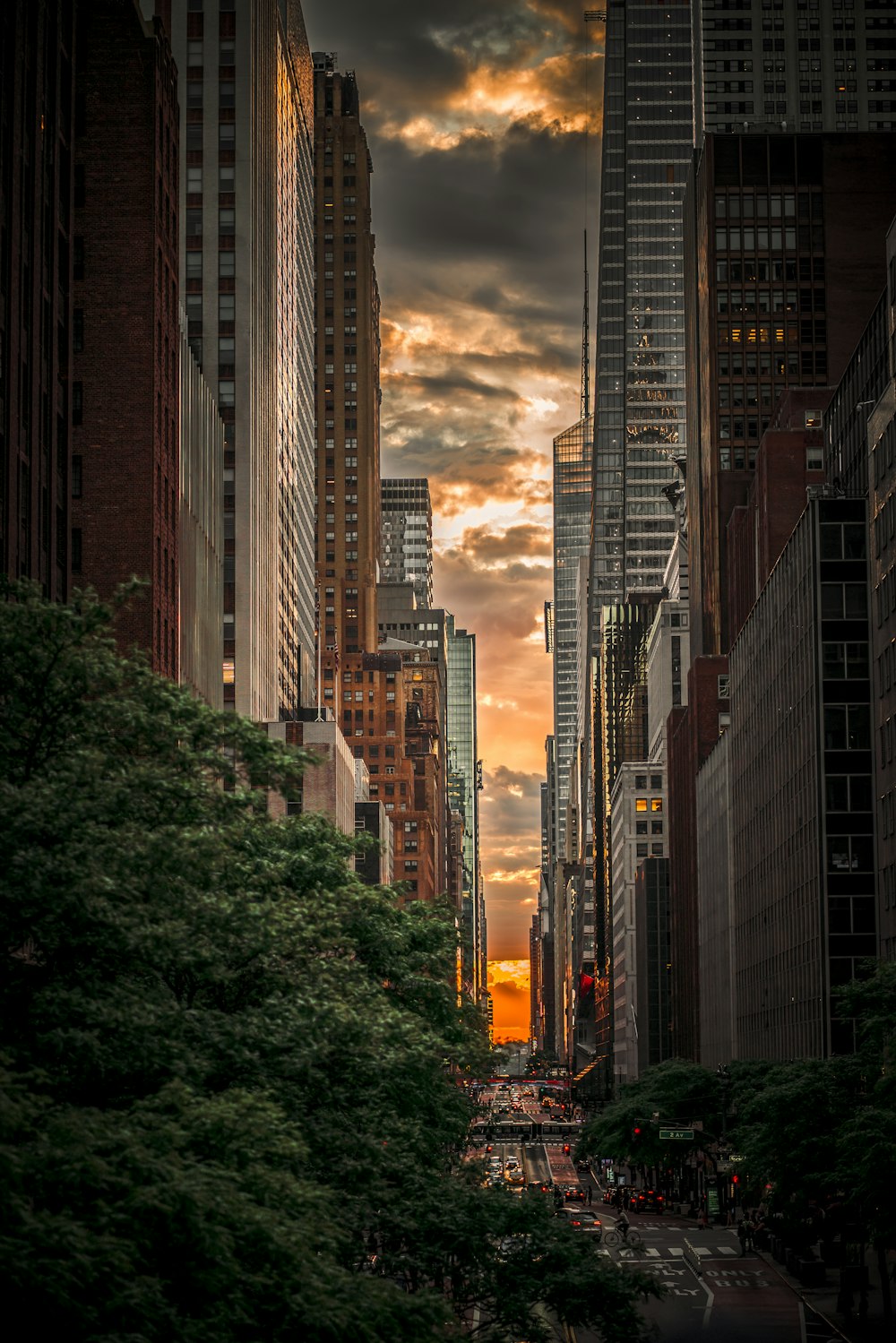 green trees near high rise buildings during daytime