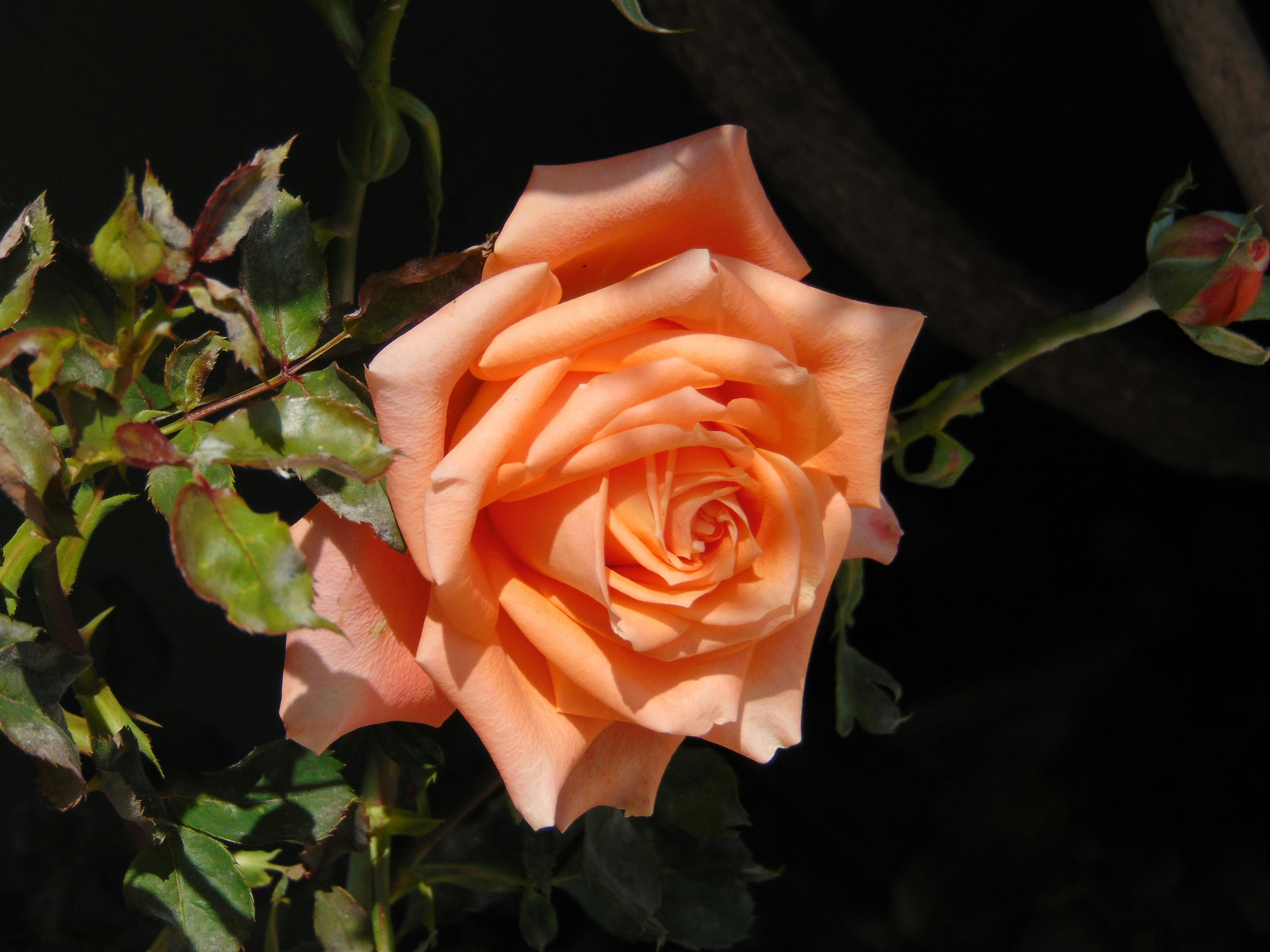 Photo by pension2020