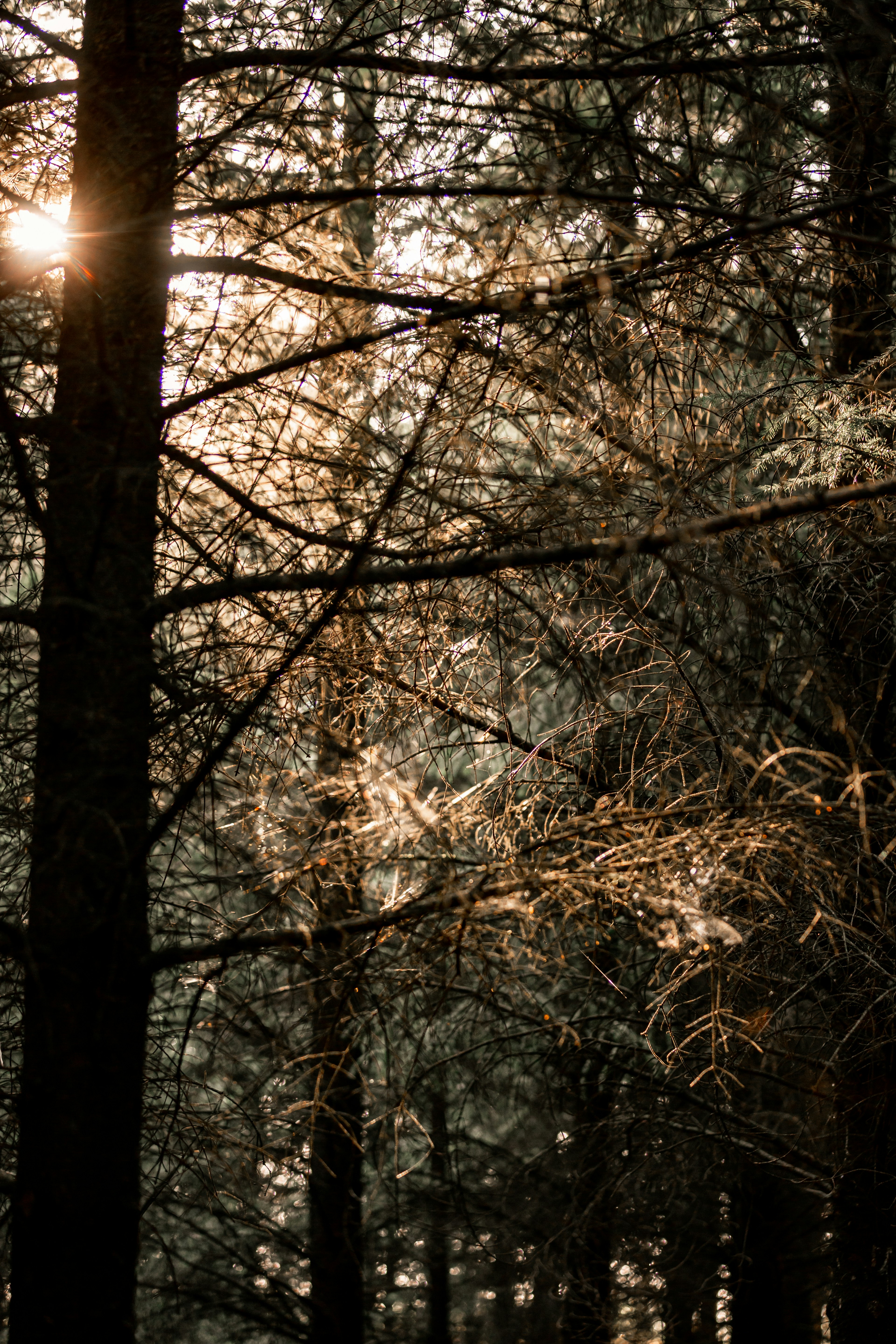 Photo by asimmonsphotography