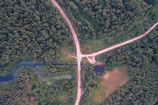 An aerial view of a dense forest intersected by several dirt roads forming a crossroad. The trees vary in shades of green, and there is a small body of water near the center. The landscape is lush and verdant, with pathways cutting through the greenery.
