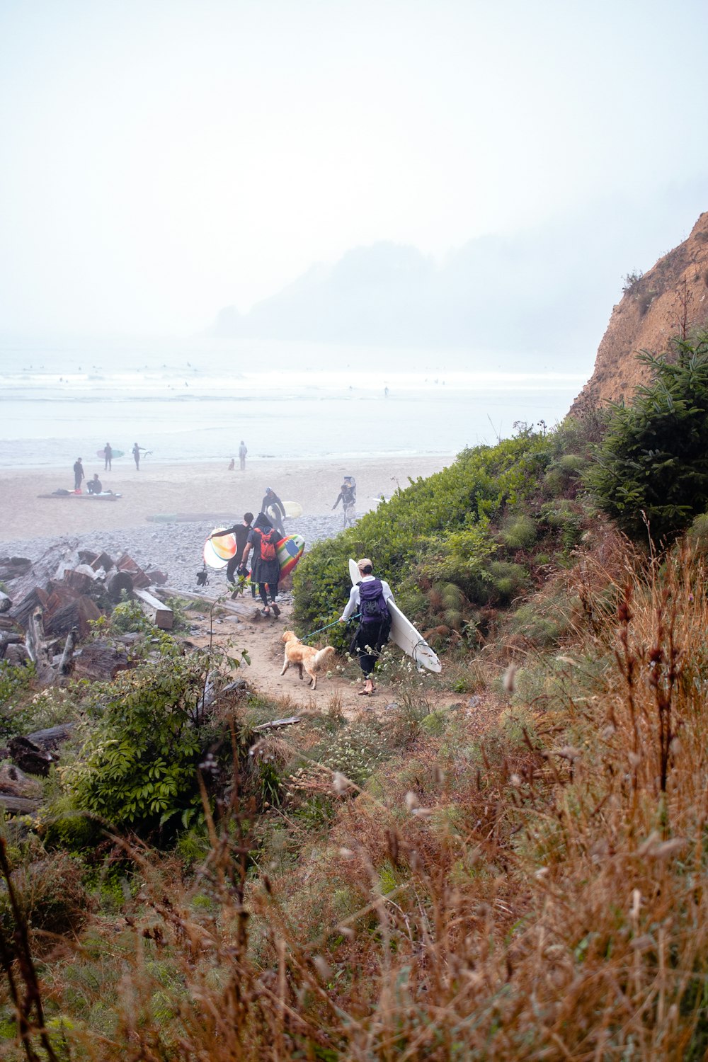 people sitting on brown rock formation near body of water during daytime