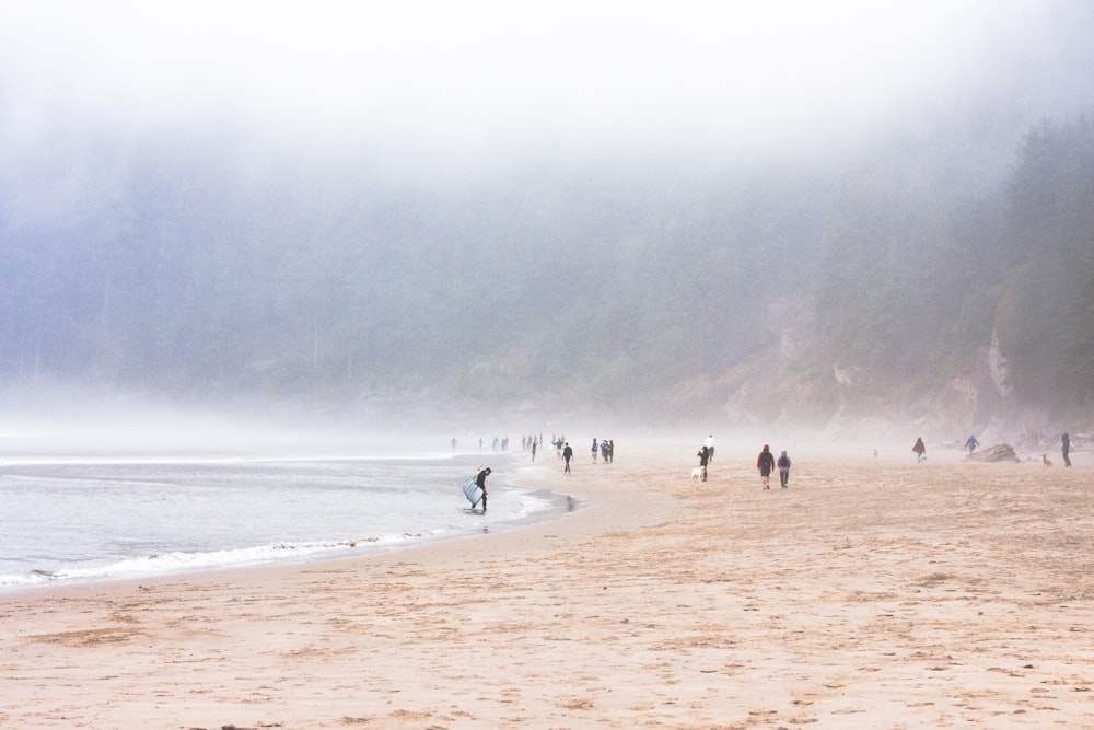 people on beach during daytime