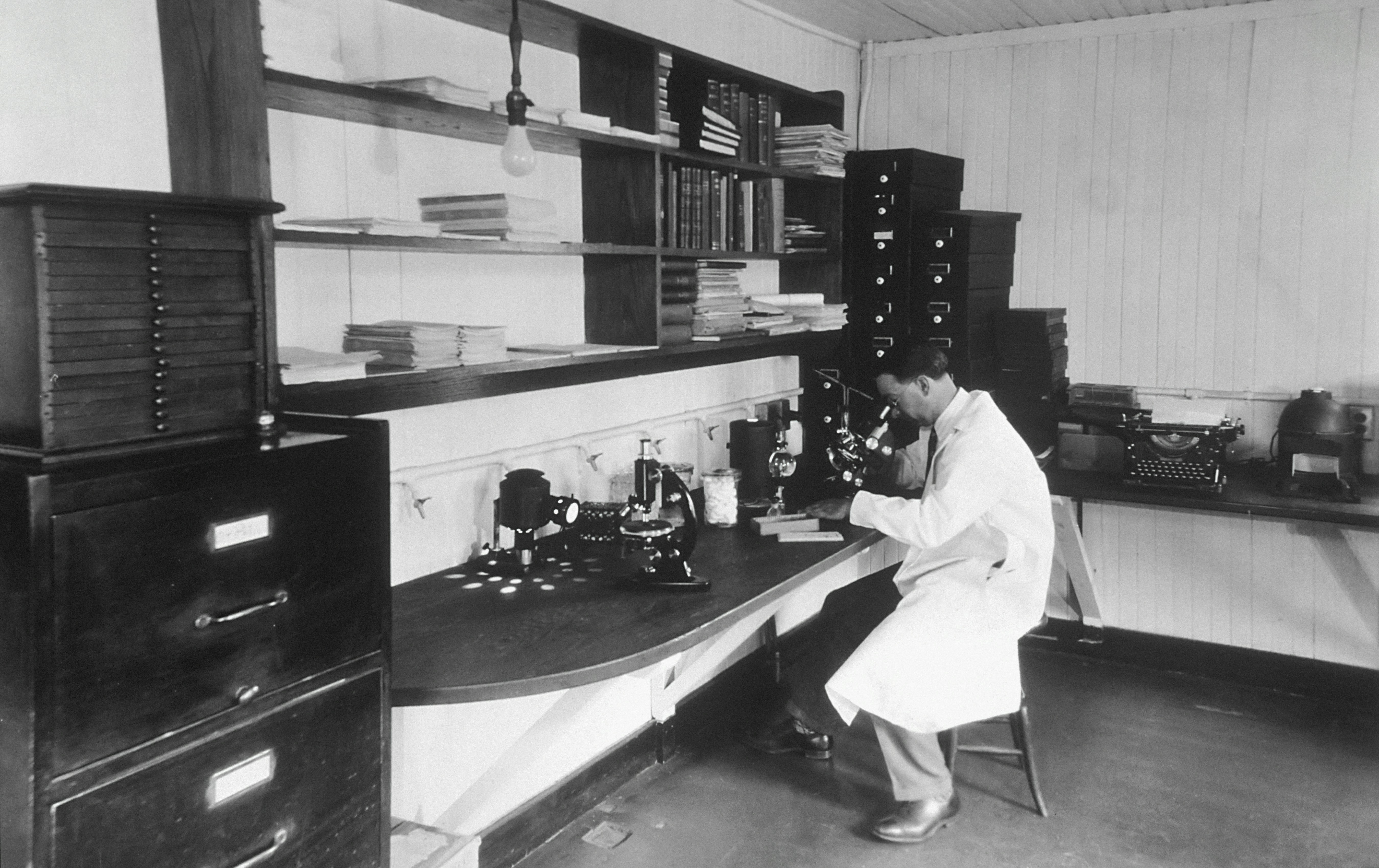 How Laboratory Testing and Conversion Factors Determine Legal Potency