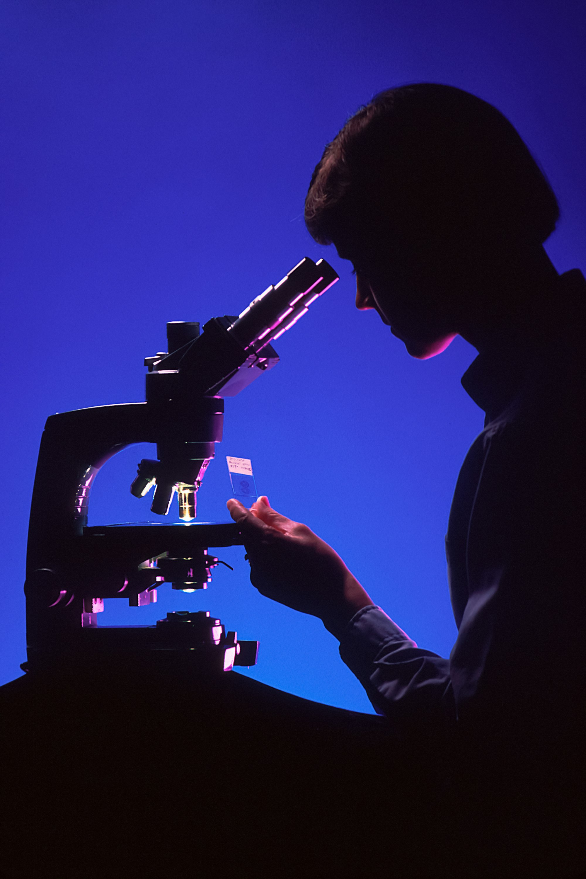 A profile of a female pathologist viewing a histological slide while sitting at a microscope. This dramatic shot has a blue background, with the microscope and the pathologist's features highlighted with magenta. Light is seen passing through the microscope's condensor to the objectives.