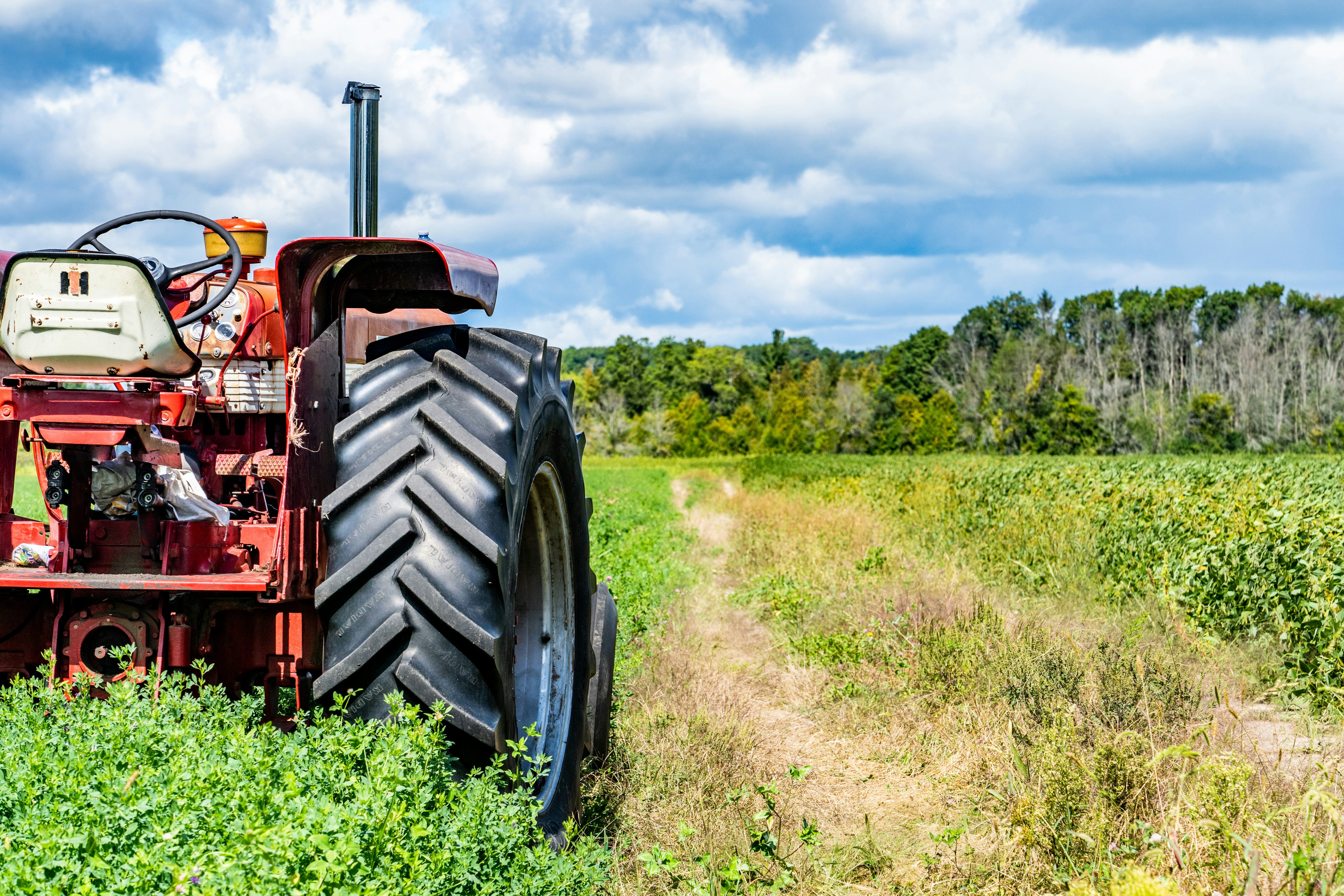 Photo by chris_robert