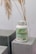 A bottle labeled 'Moringa Vital' is placed on top of geometric, gray textured blocks. The background features dried pampas grass adding a natural touch to the setting.