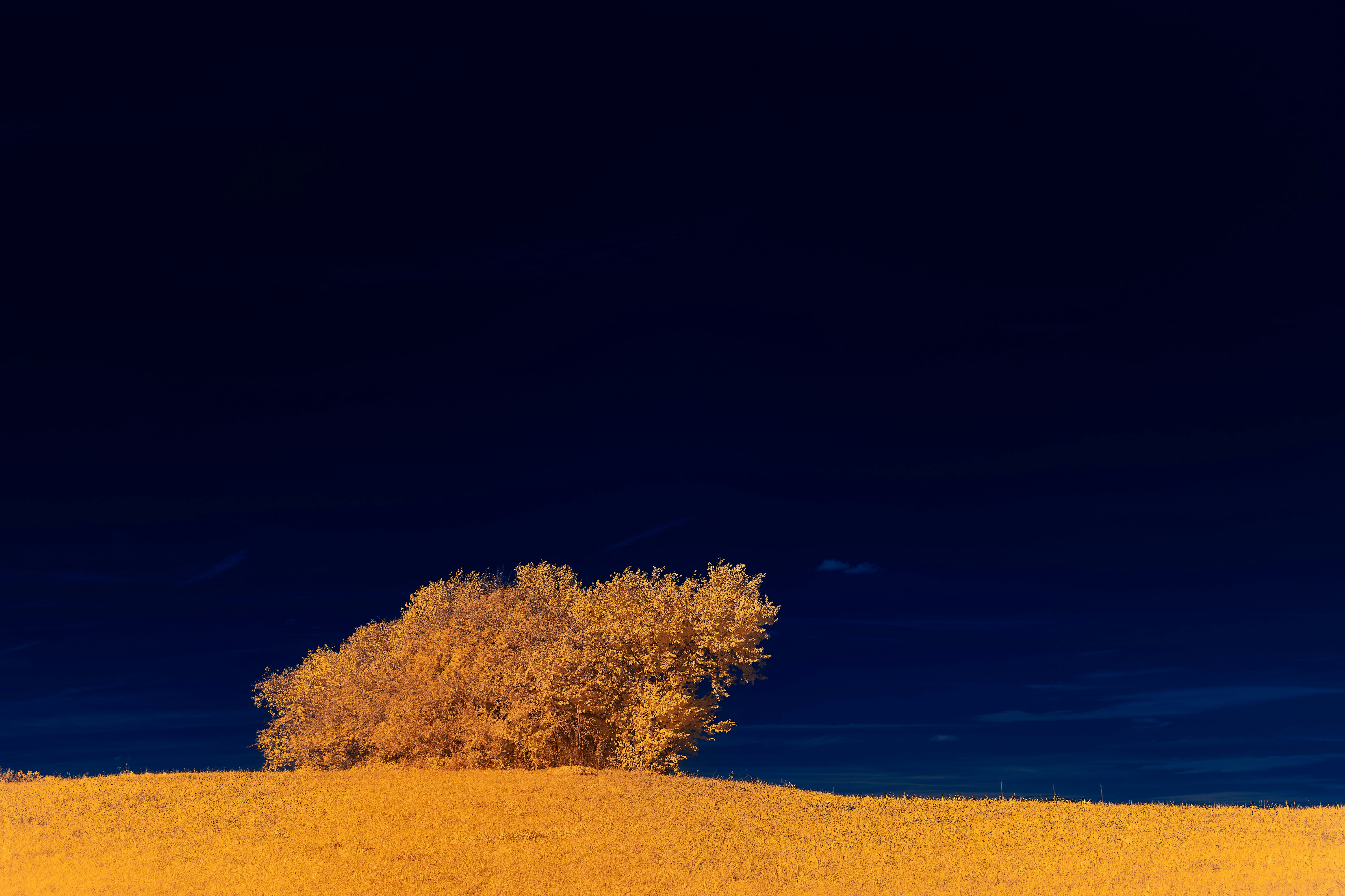 Photo by wolfgang_hasselmann