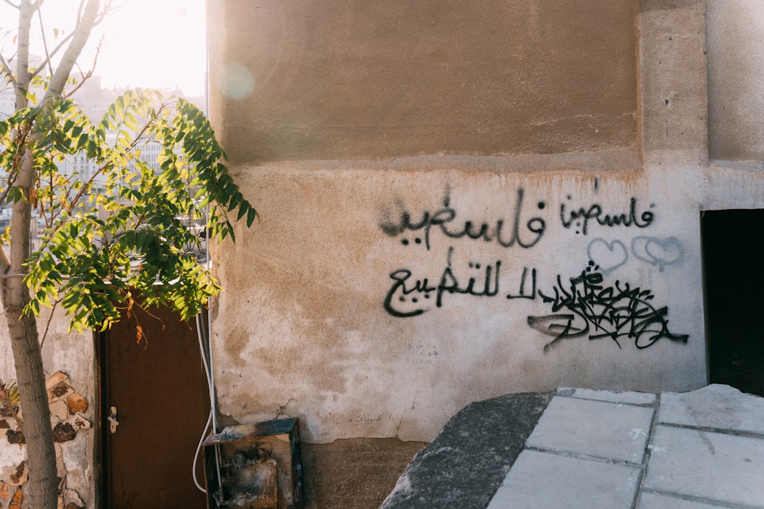 green plant beside concrete wall, Palestine - Graffiti Wall