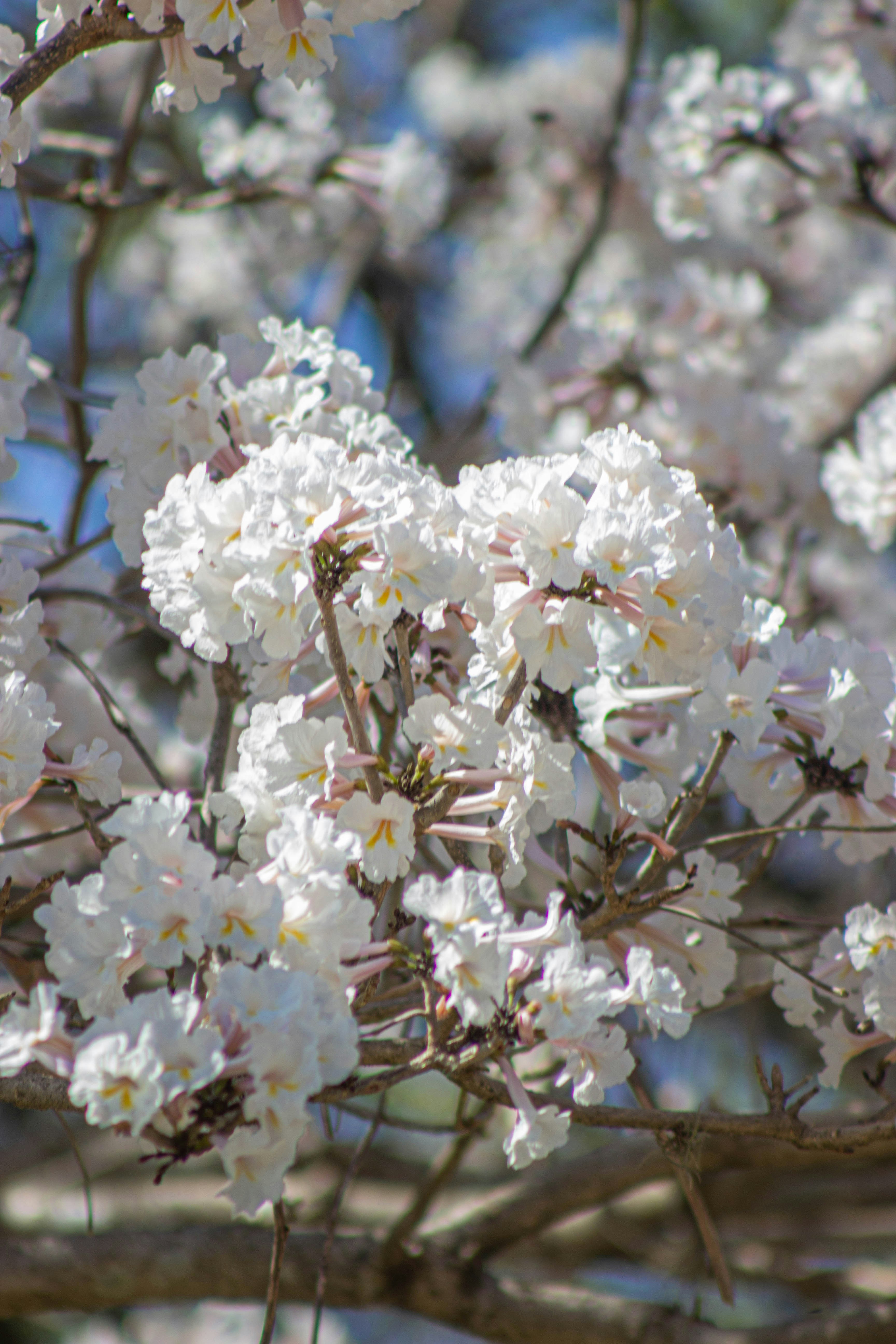 Photo by amywithacamera