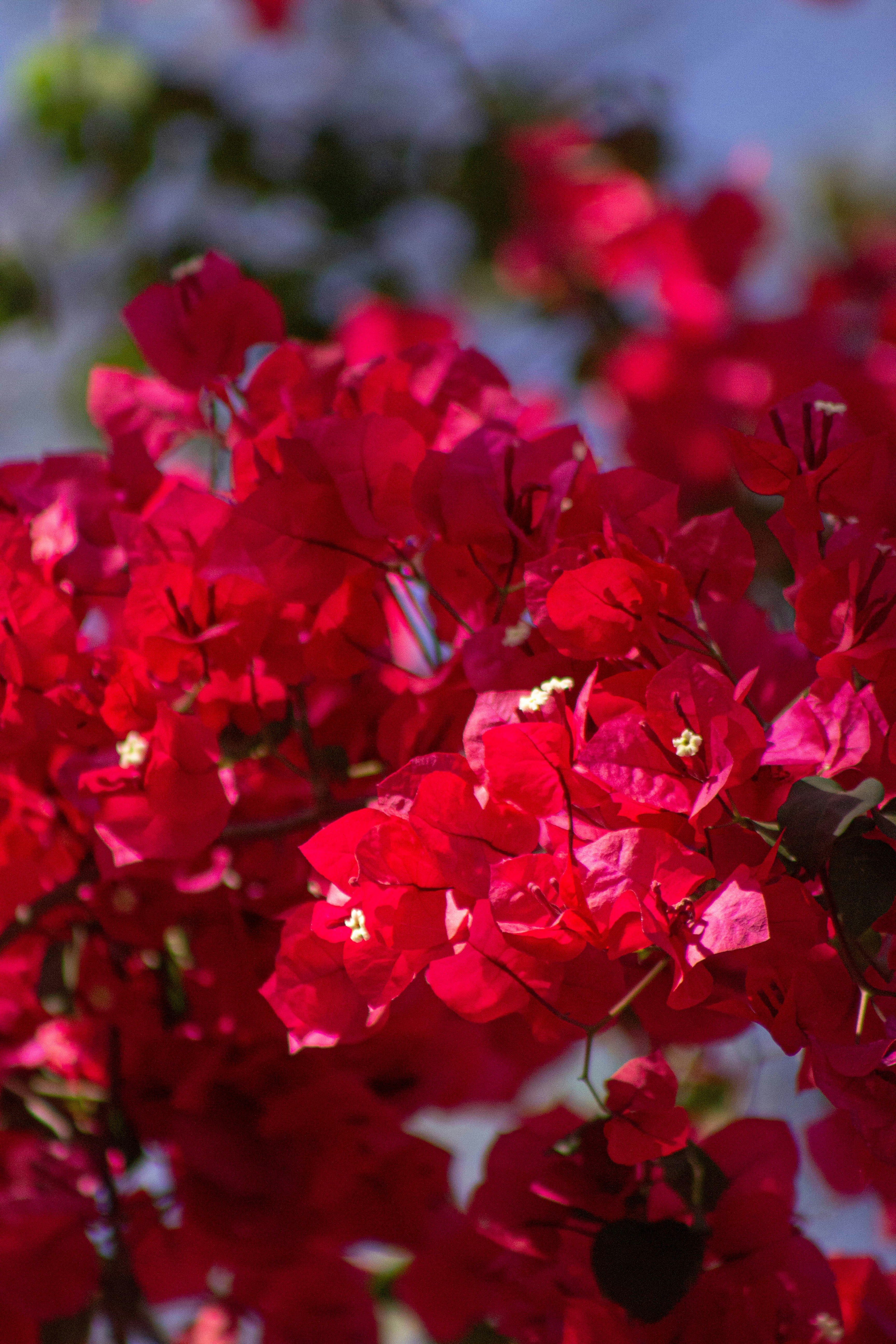 Photo by amywithacamera