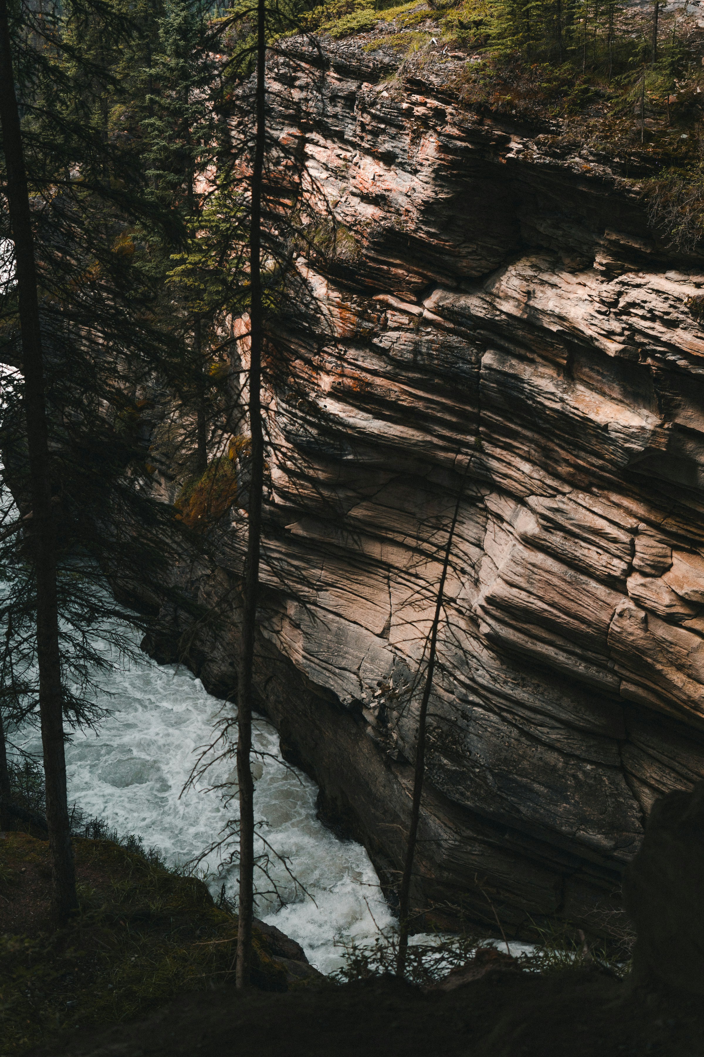 Photo by tfrankcreations