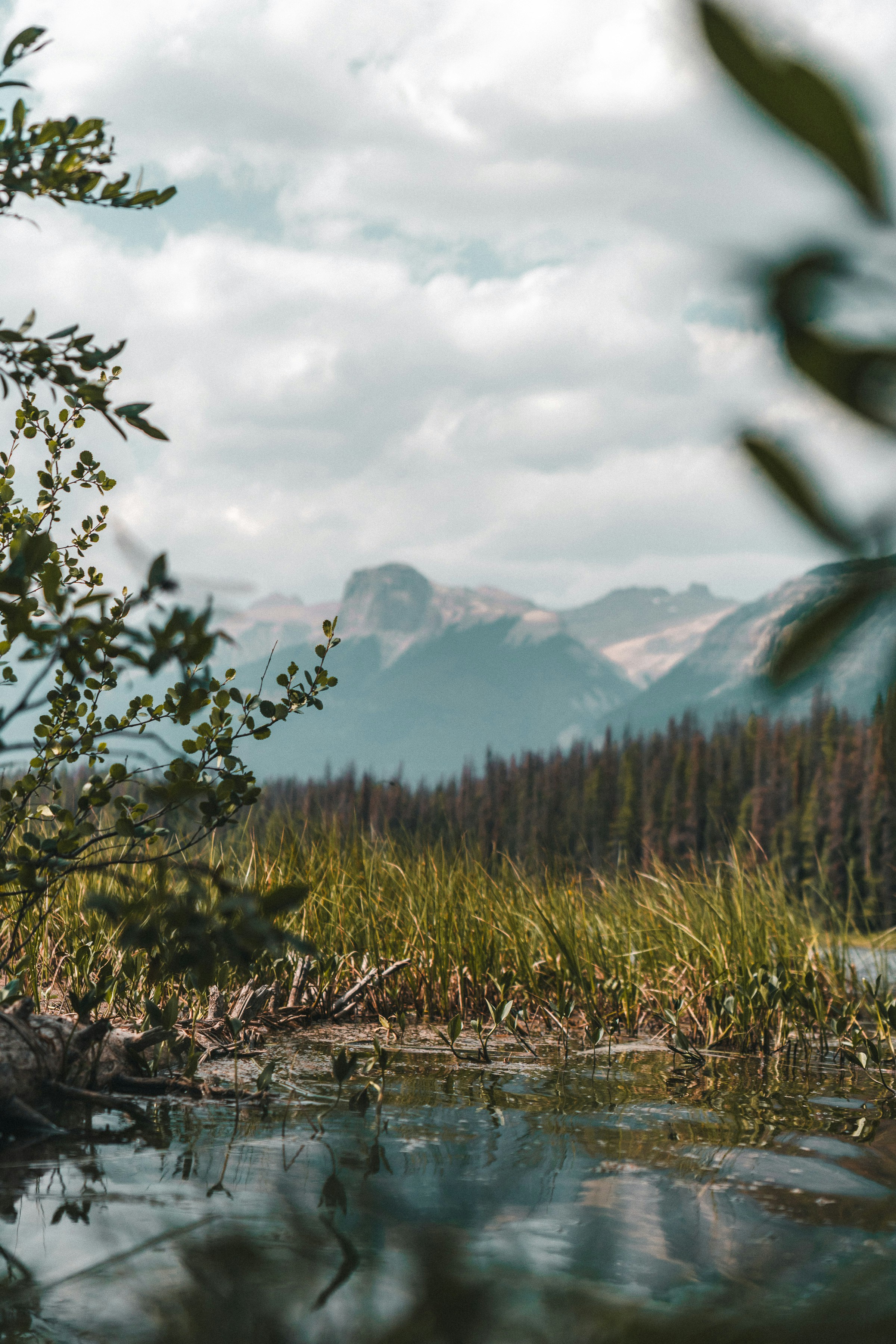 Photo by tfrankcreations