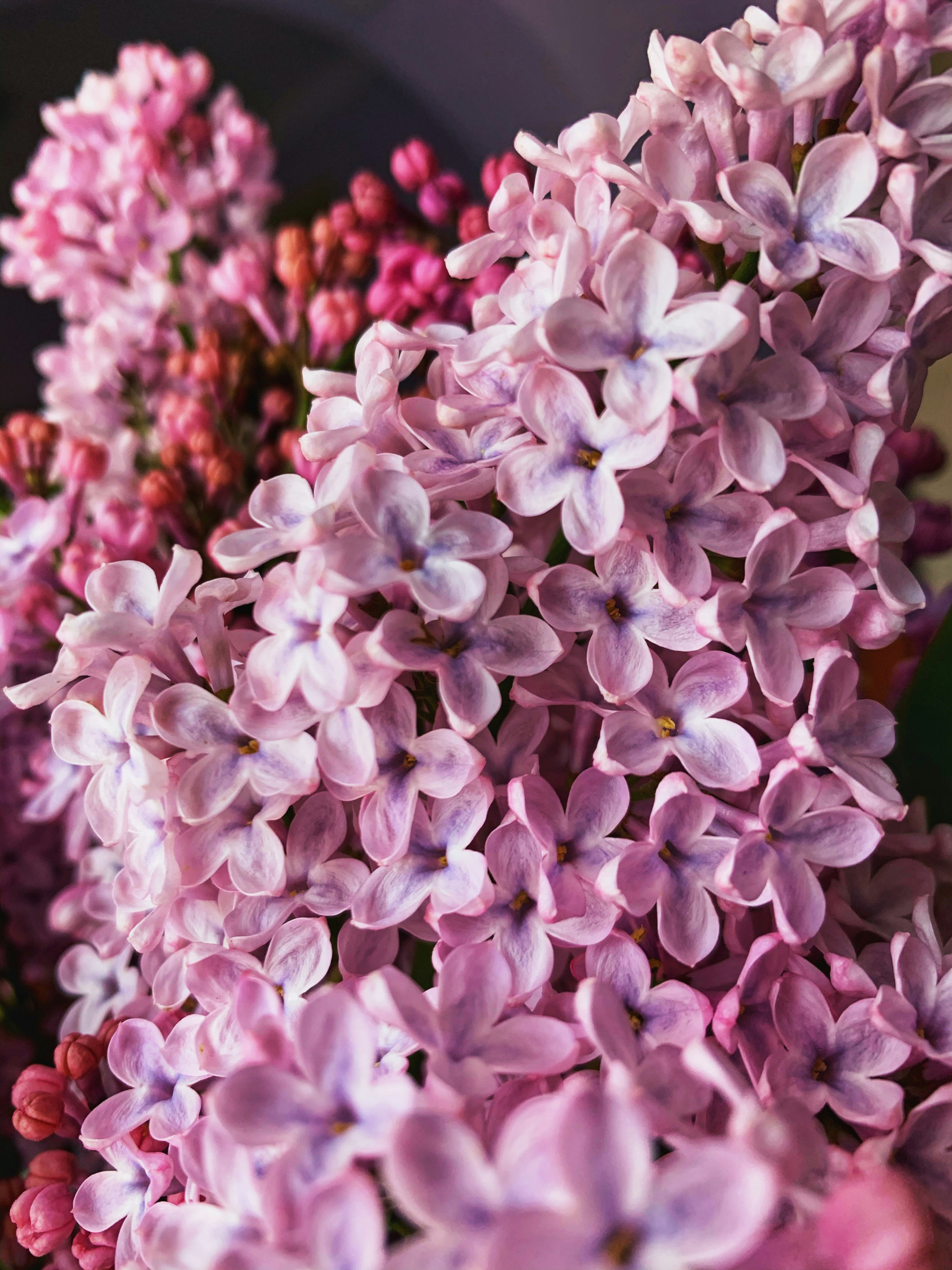 Photo by sonyamaria15