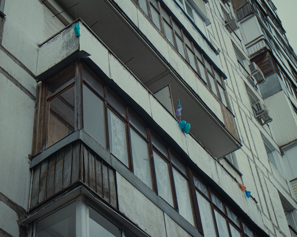 blue bird on white concrete building during daytime