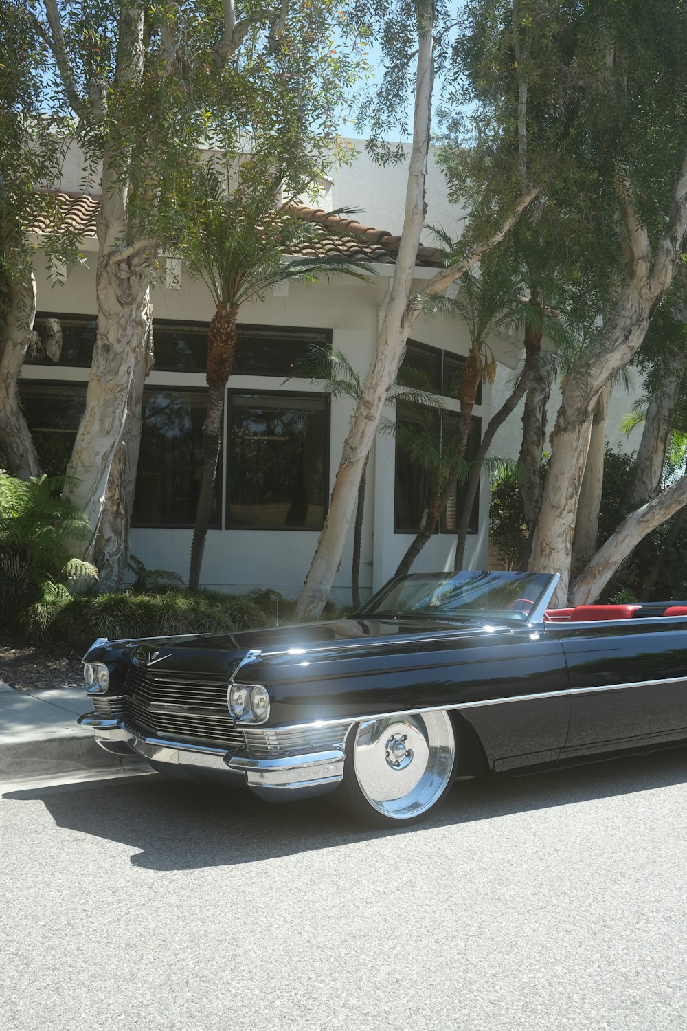 black coupe parked near green trees during daytime