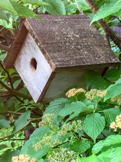 A rustic wooden birdhouse nestled among blooming garden flowers