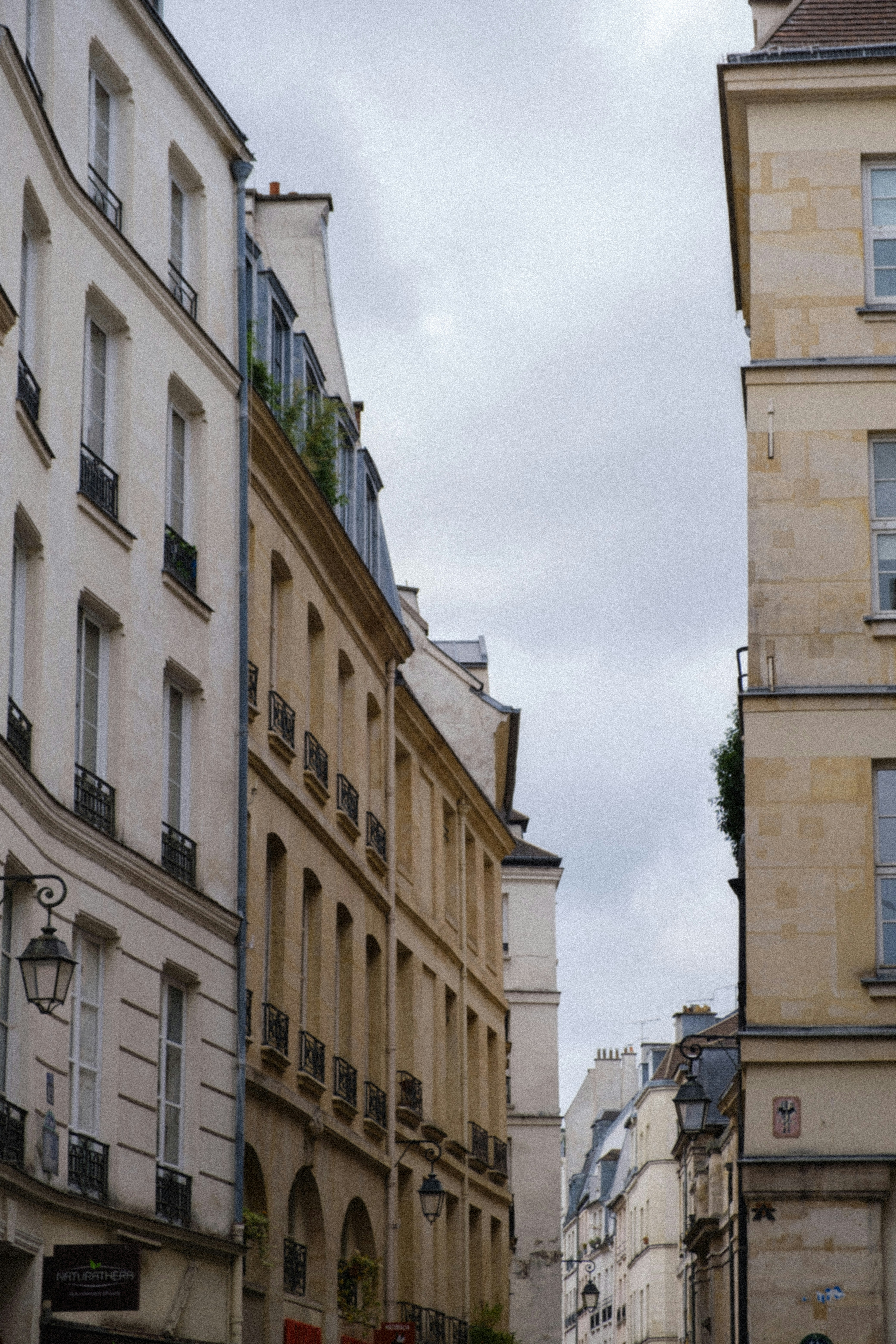 Photo by colepatrick