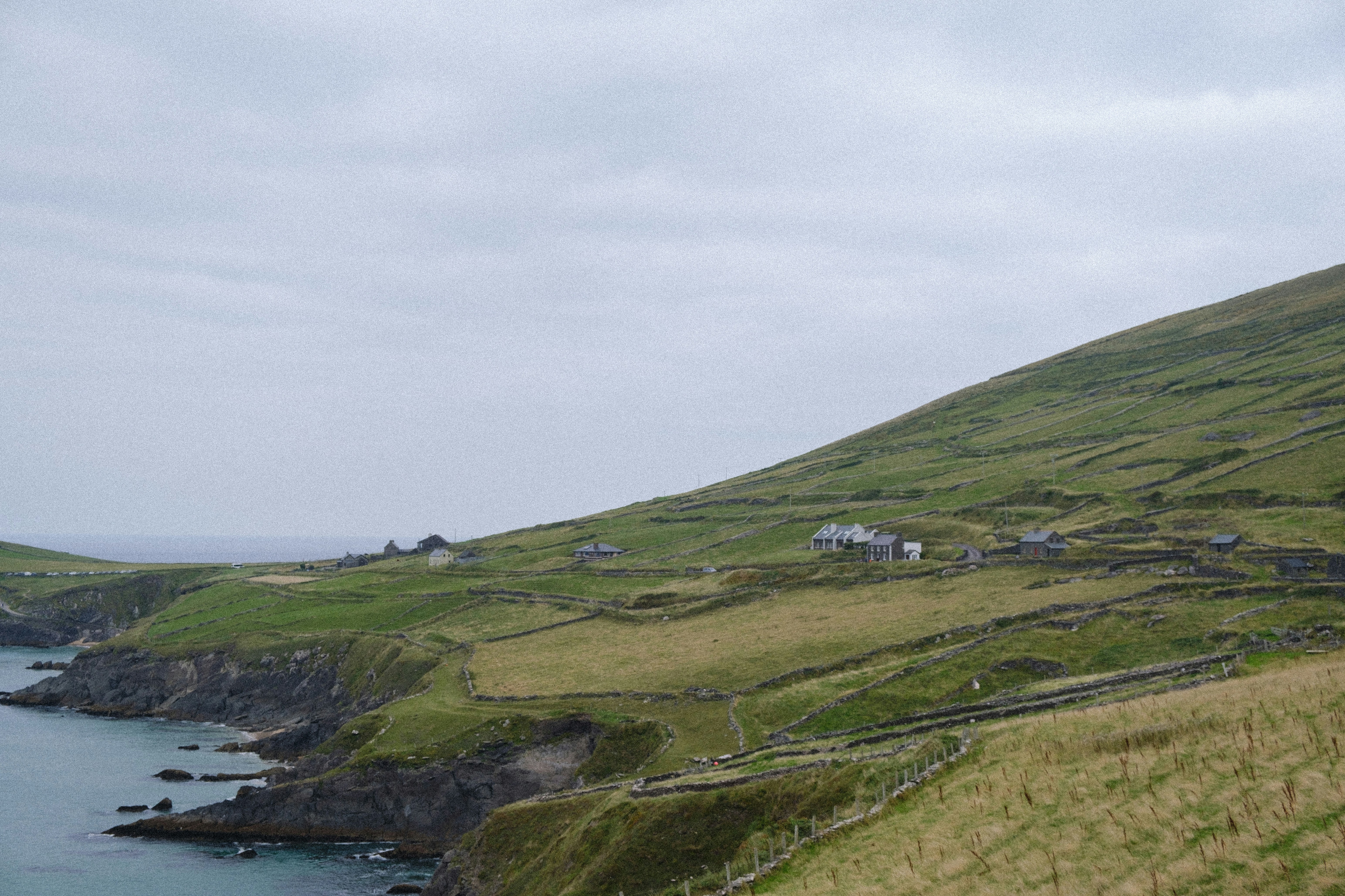 Photo by colepatrick