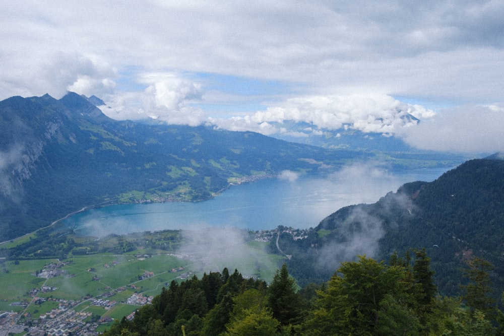 green trees on mountain under white clouds during daytime