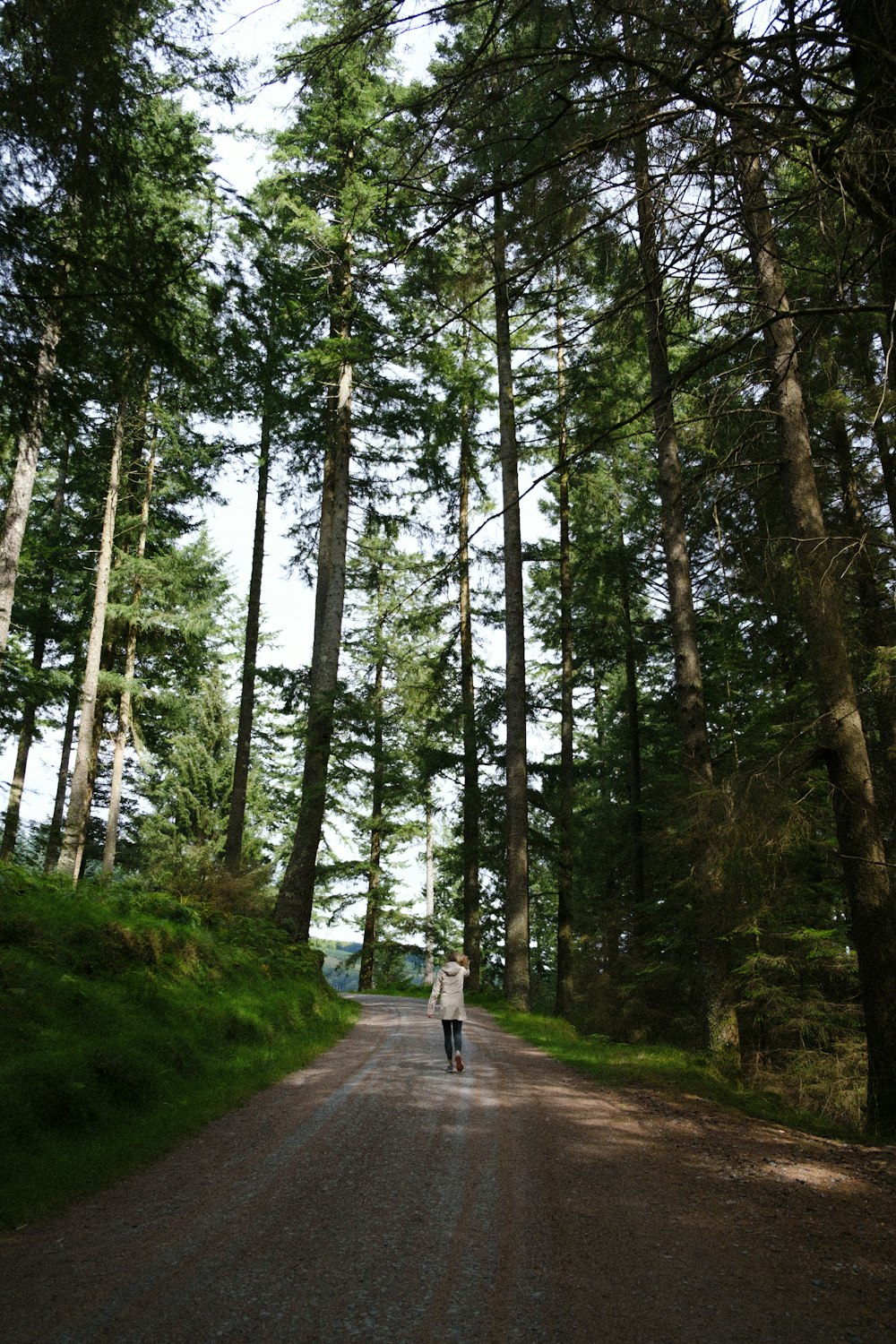 person in white shirt walking on pathway between green trees during daytime