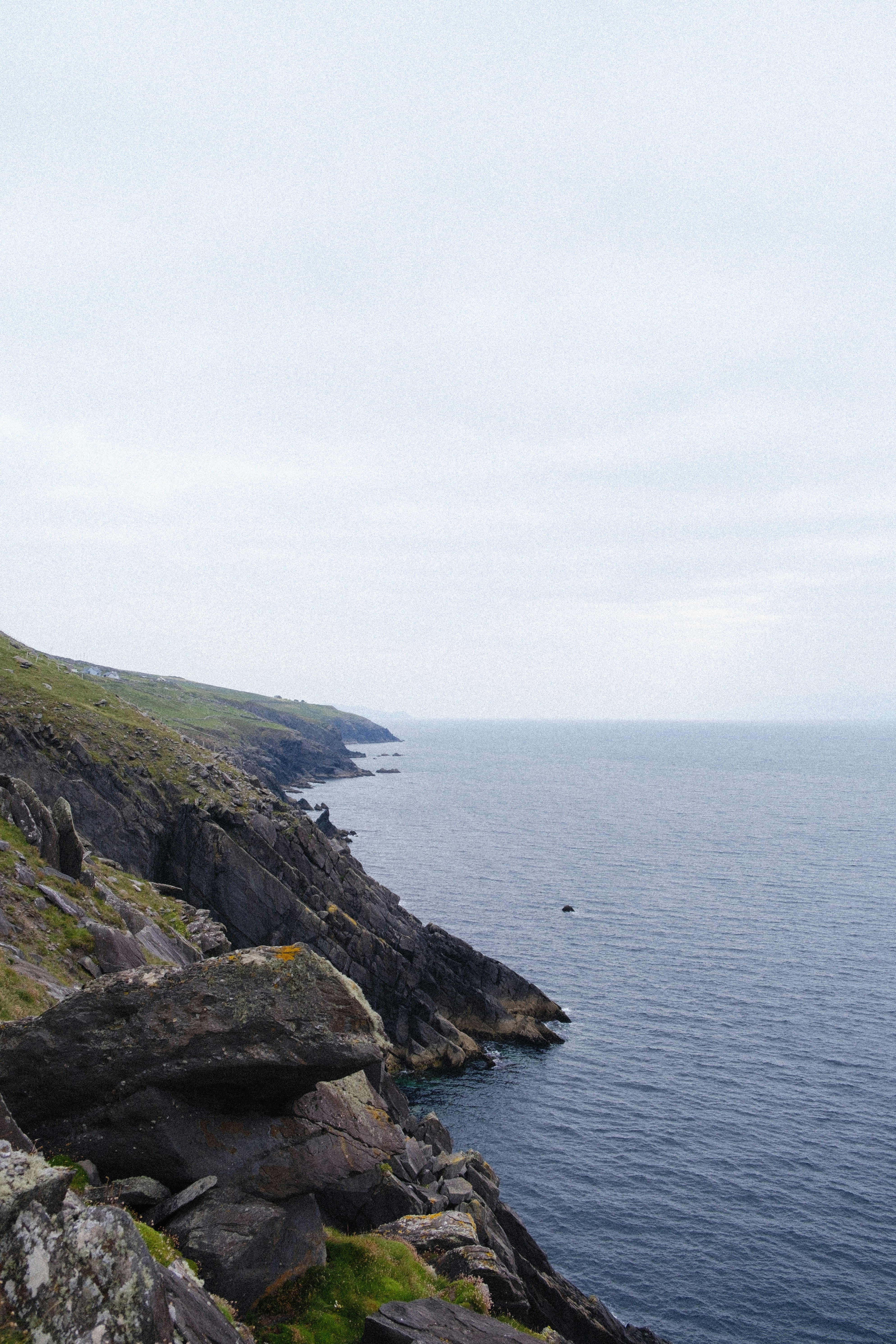 Photo by colepatrick