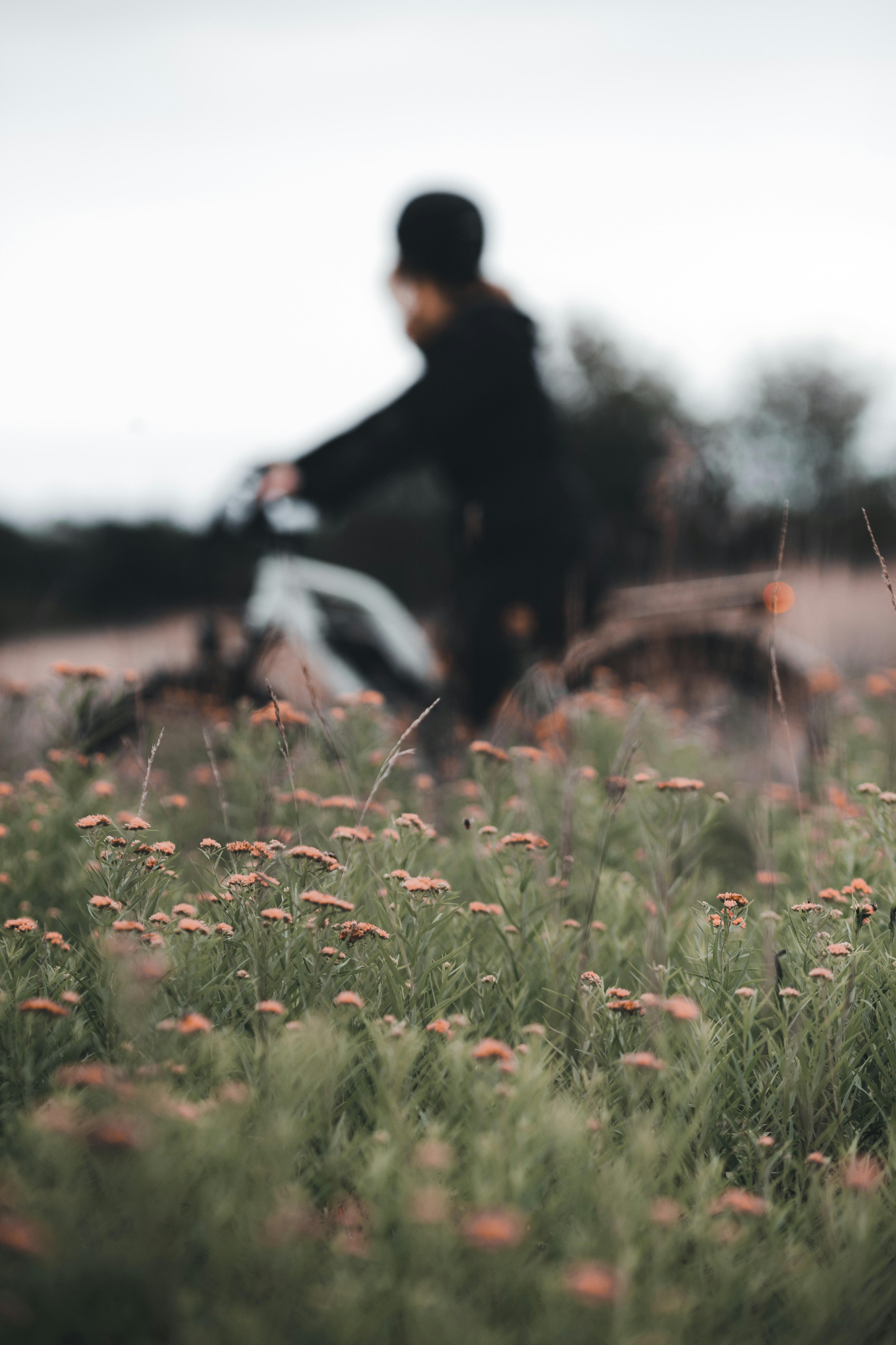 Photo by introspectivedsgn