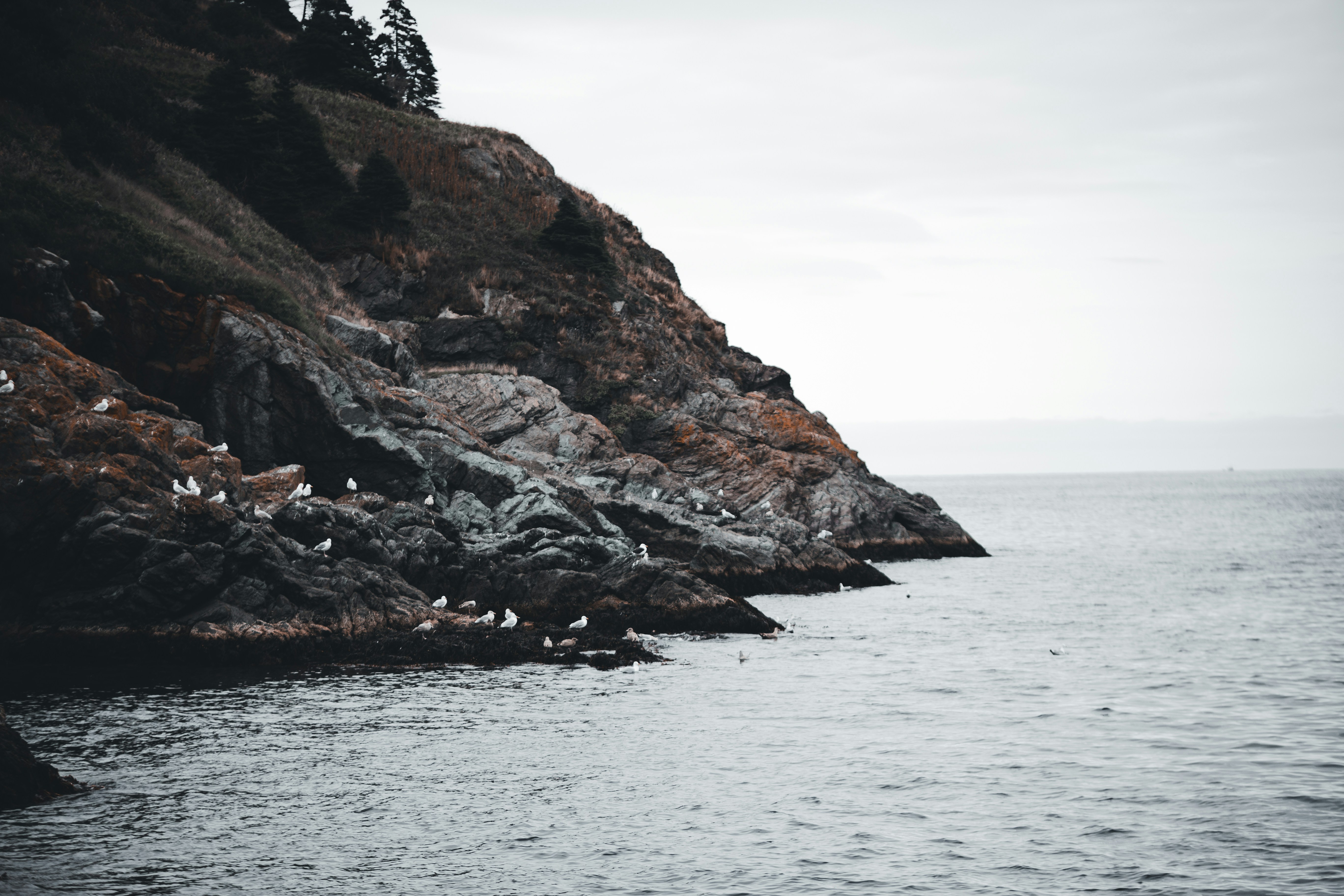 Photo by introspectivedsgn