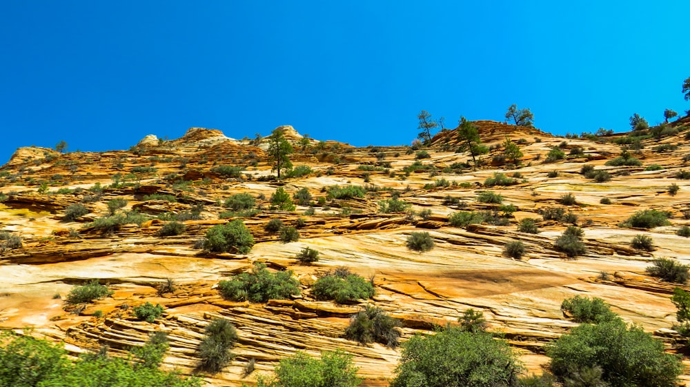 brown rocky mountain under blue sky during daytime