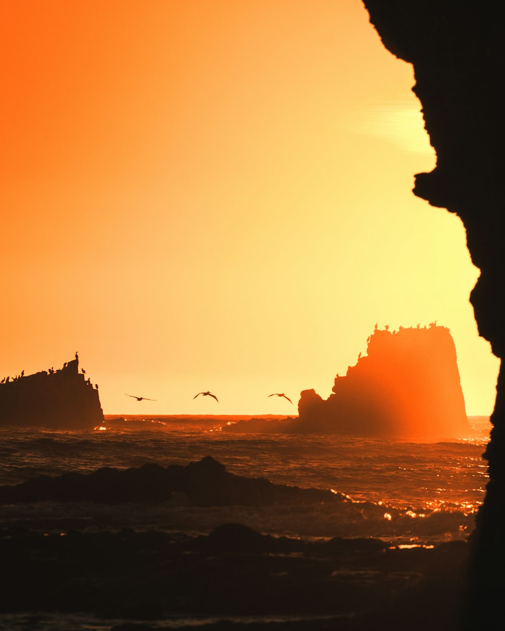 silhouette of person on rock formation near body of water during sunset