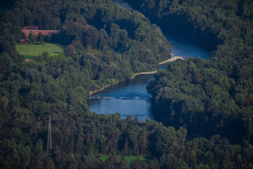 Arbres verts près du lac Blue pendant la journée