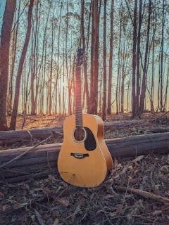 A peaceful sunset scene with a guitar resting against a tree, evoking calm and creativity.