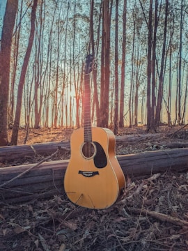 A serene landscape at sunset with a guitar resting against a tree.