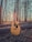 An acoustic guitar is positioned upright in a wooded area, surrounded by tall, slender trees. The sun is setting in the background, casting warm, golden light through the trees and illuminating the guitar, highlighting its wooden texture and intricate details.