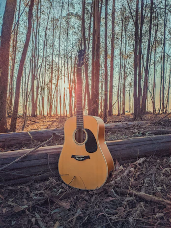 A peaceful sunset scene with a guitar resting against a tree, evoking calm and creativity.
