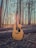 An acoustic guitar is positioned upright in a wooded area, surrounded by tall, slender trees. The sun is setting in the background, casting warm, golden light through the trees and illuminating the guitar, highlighting its wooden texture and intricate details.