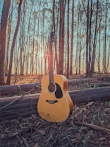 An acoustic guitar is positioned upright in a wooded area, surrounded by tall, slender trees. The sun is setting in the background, casting warm, golden light through the trees and illuminating the guitar, highlighting its wooden texture and intricate details.