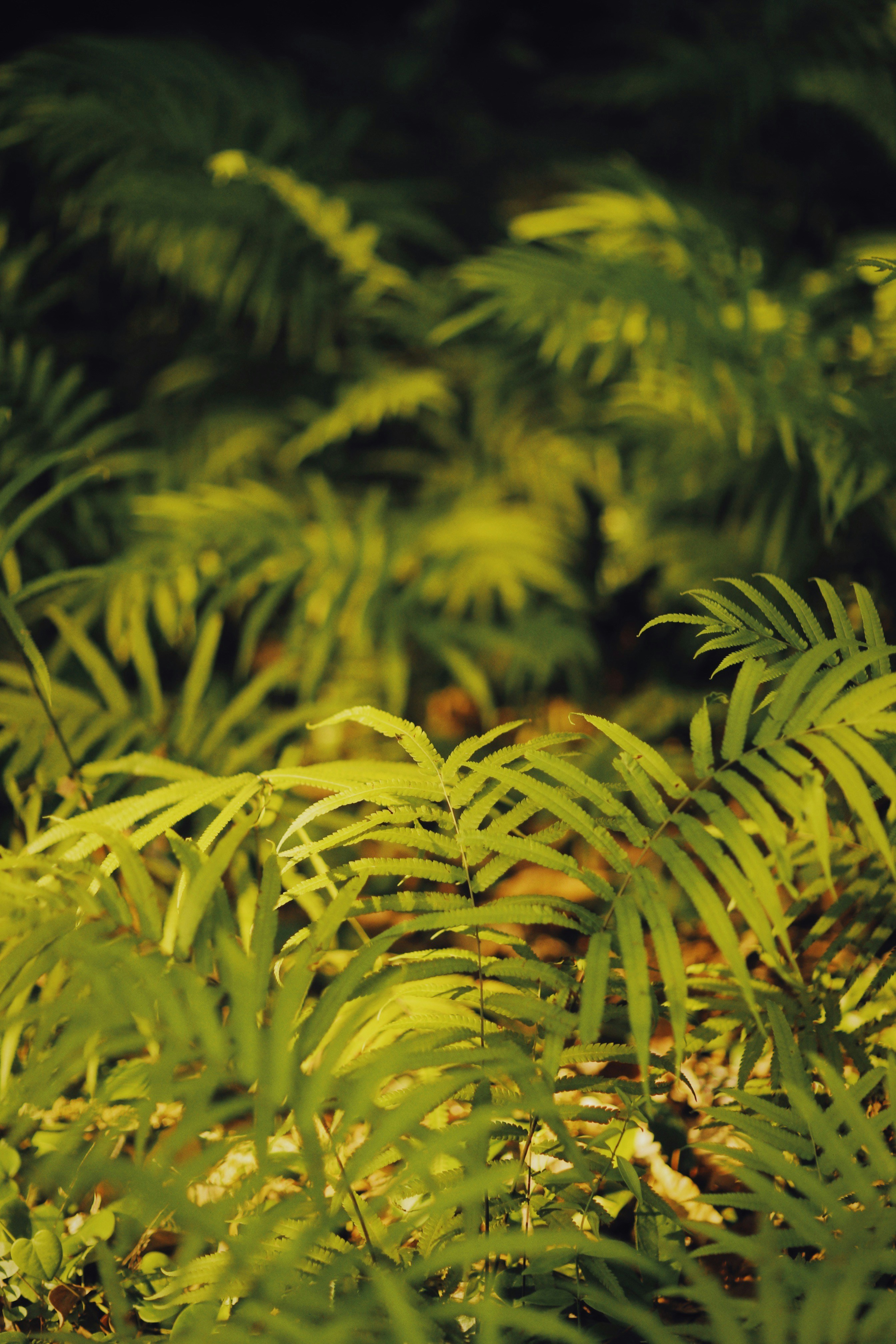 Photo by alexeydemidov