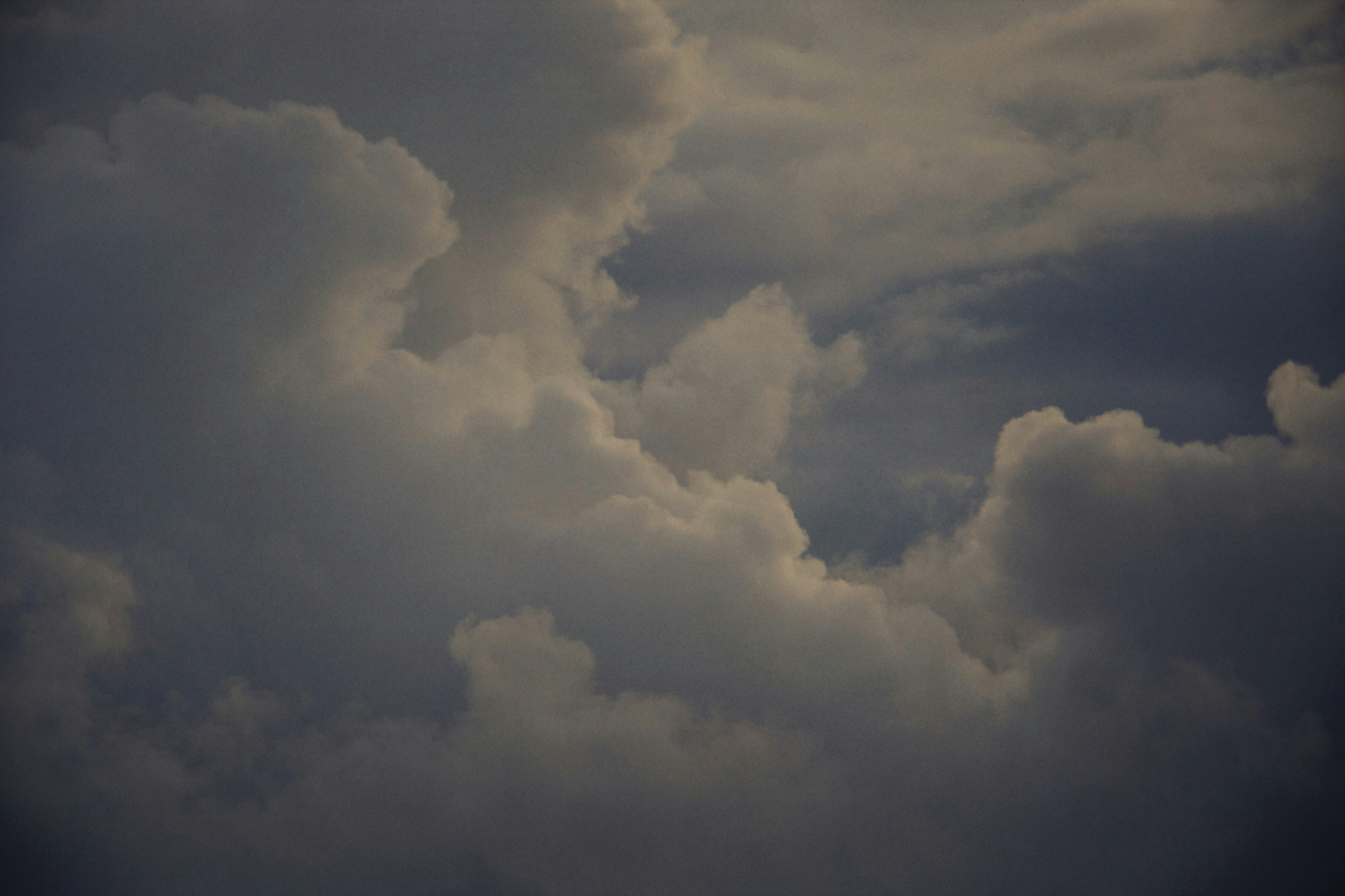 Photo by alexeydemidov