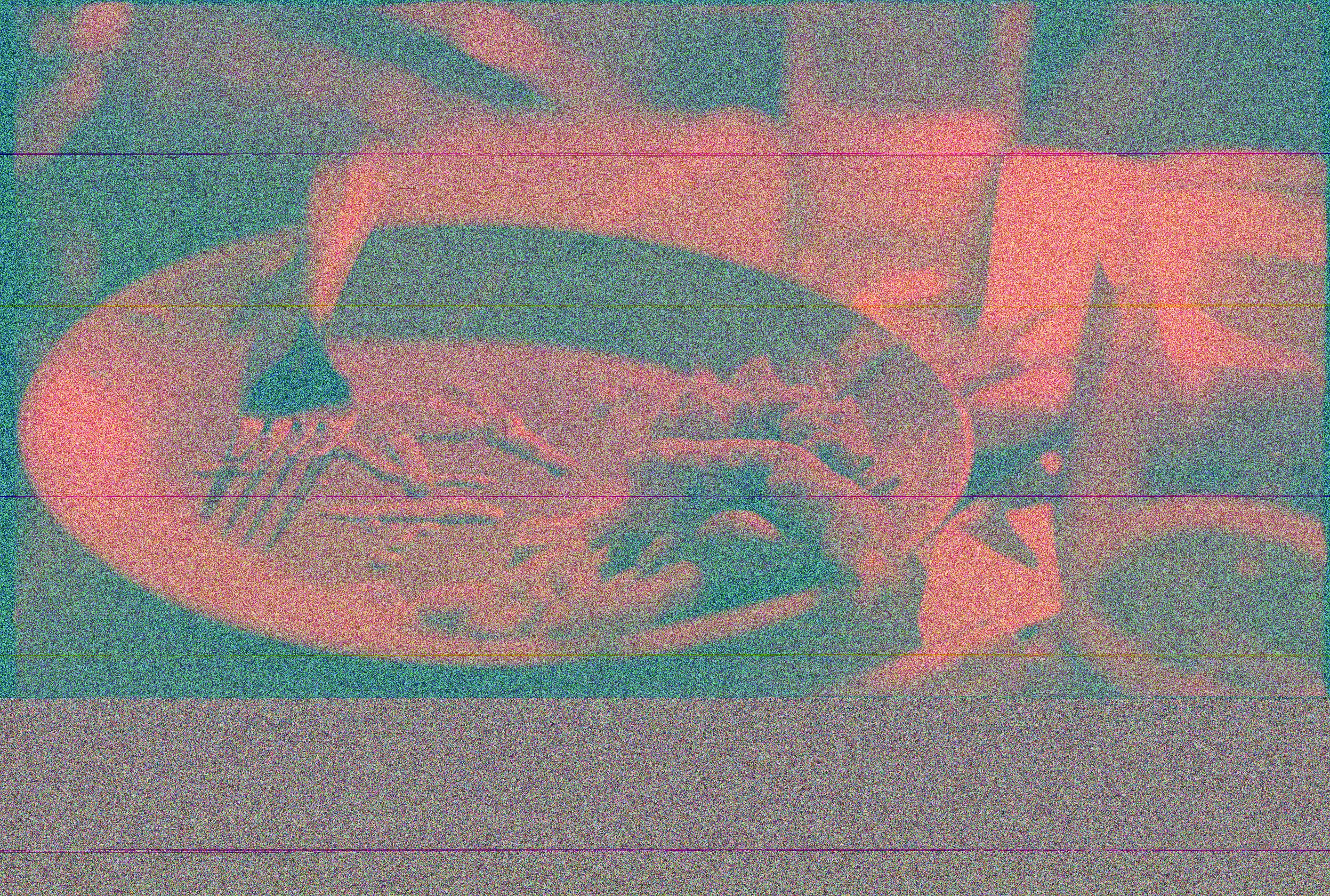 Bugün öğrendim ki: Hitler'in koruması Rochus...