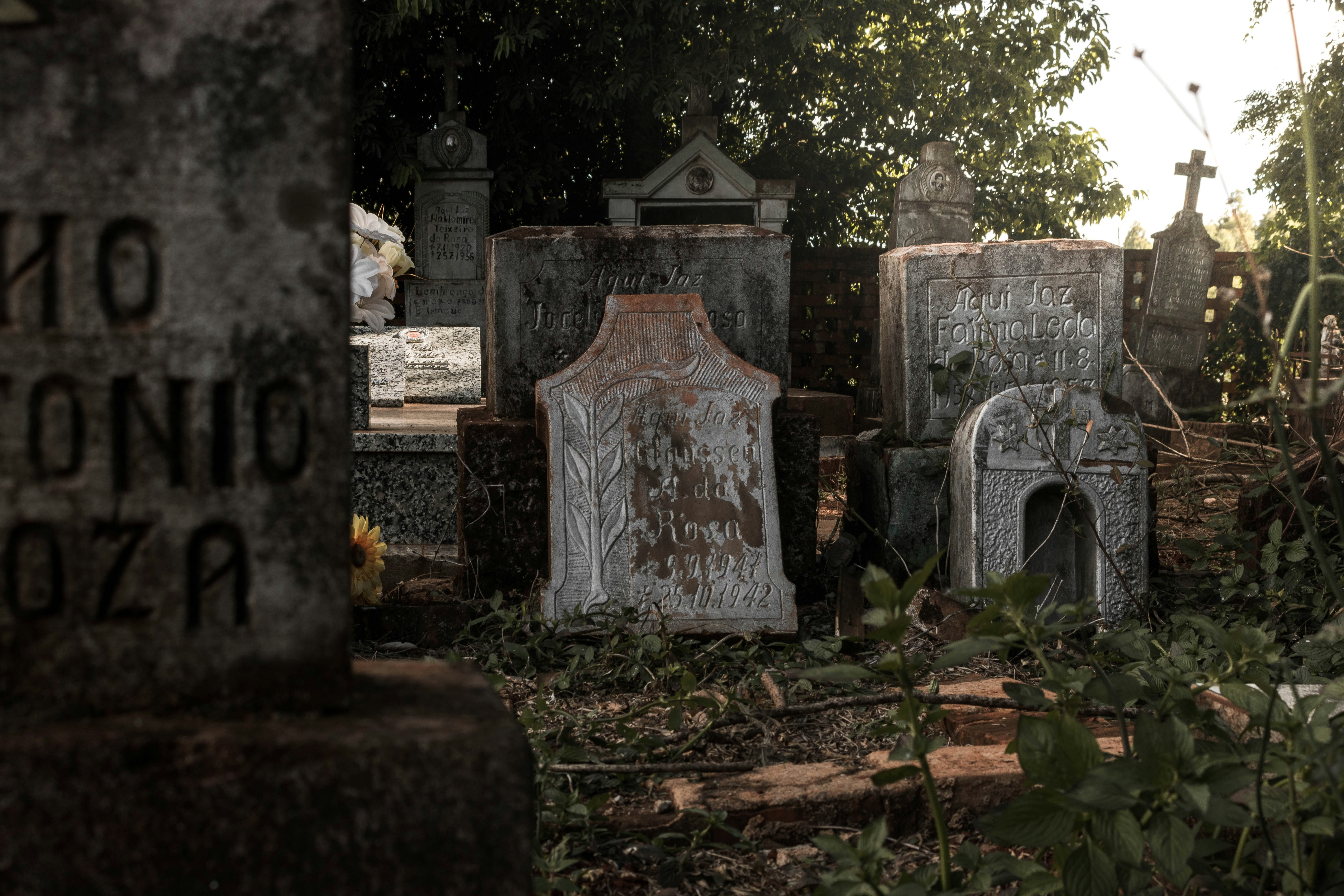 white and brown concrete tomb