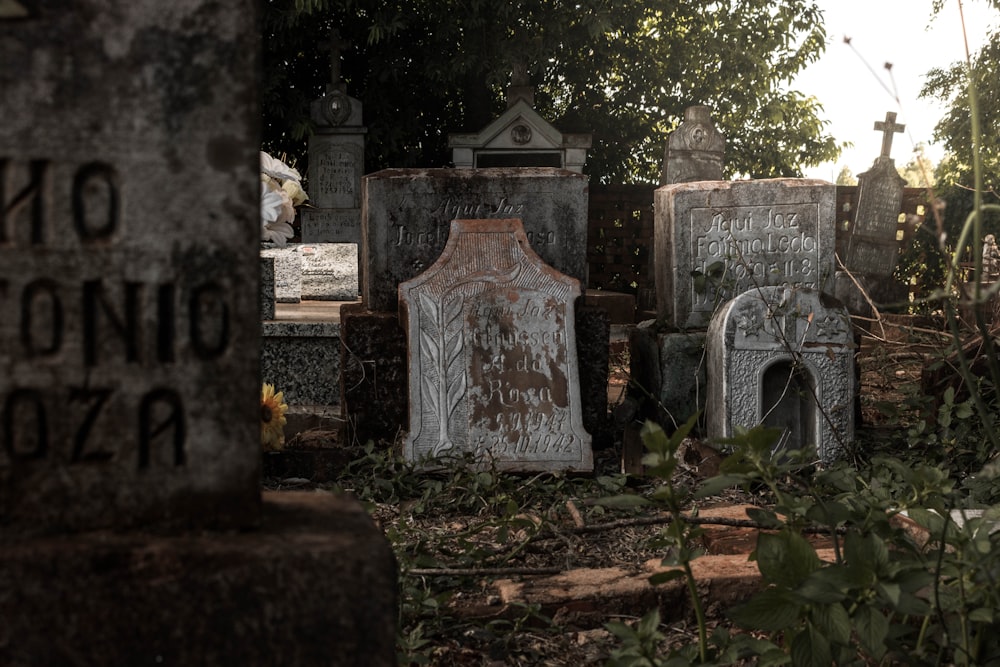 white and brown concrete tomb