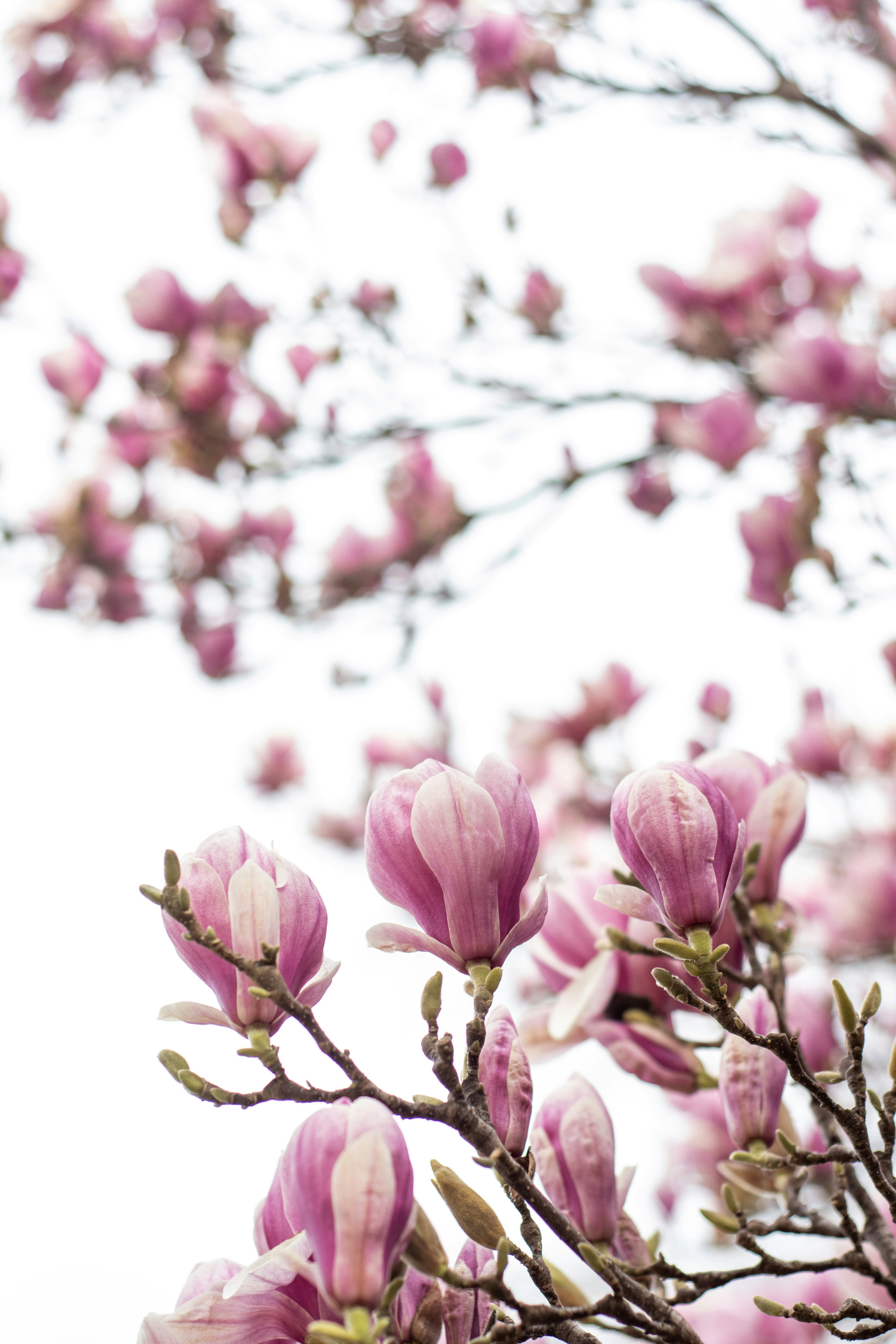 Photo by miekelauren