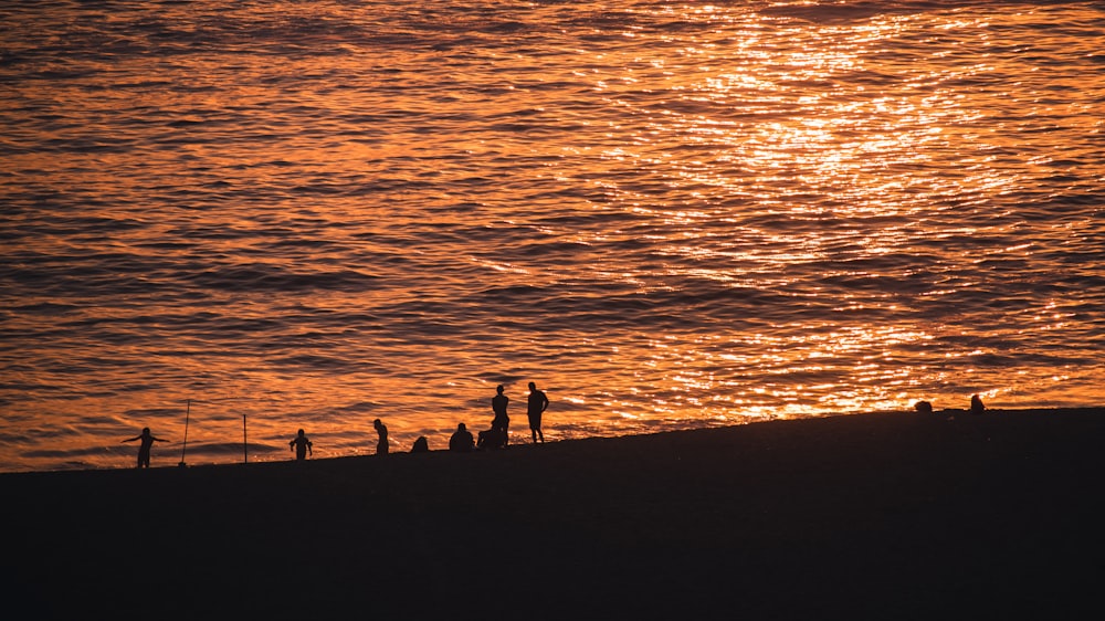 silhouette of people on beach during sunset